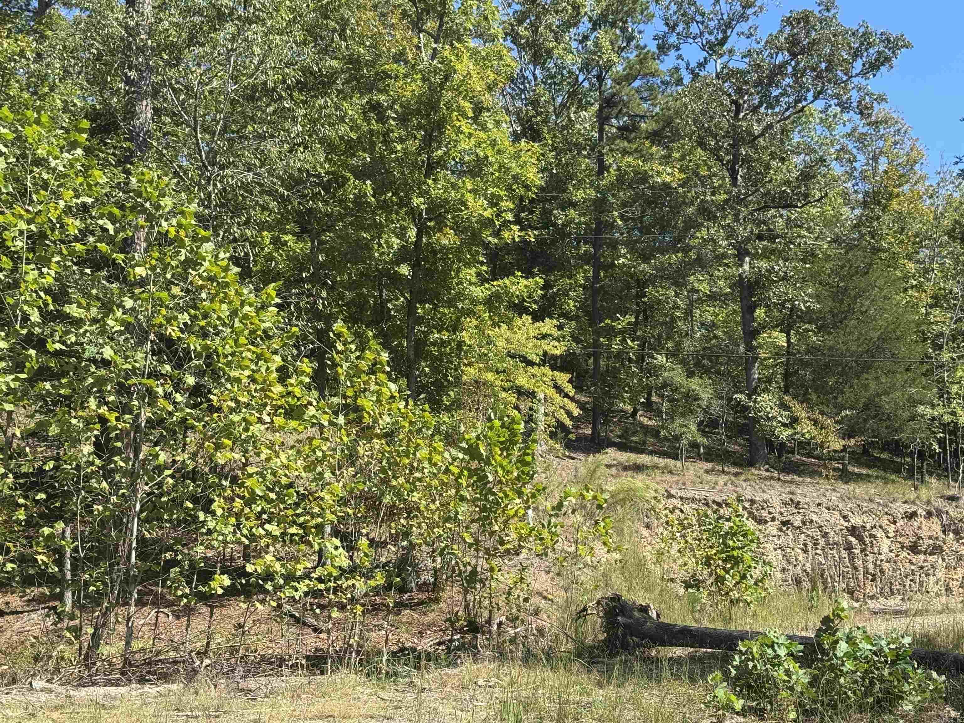 6408 Whipporwill  Alexander, AR