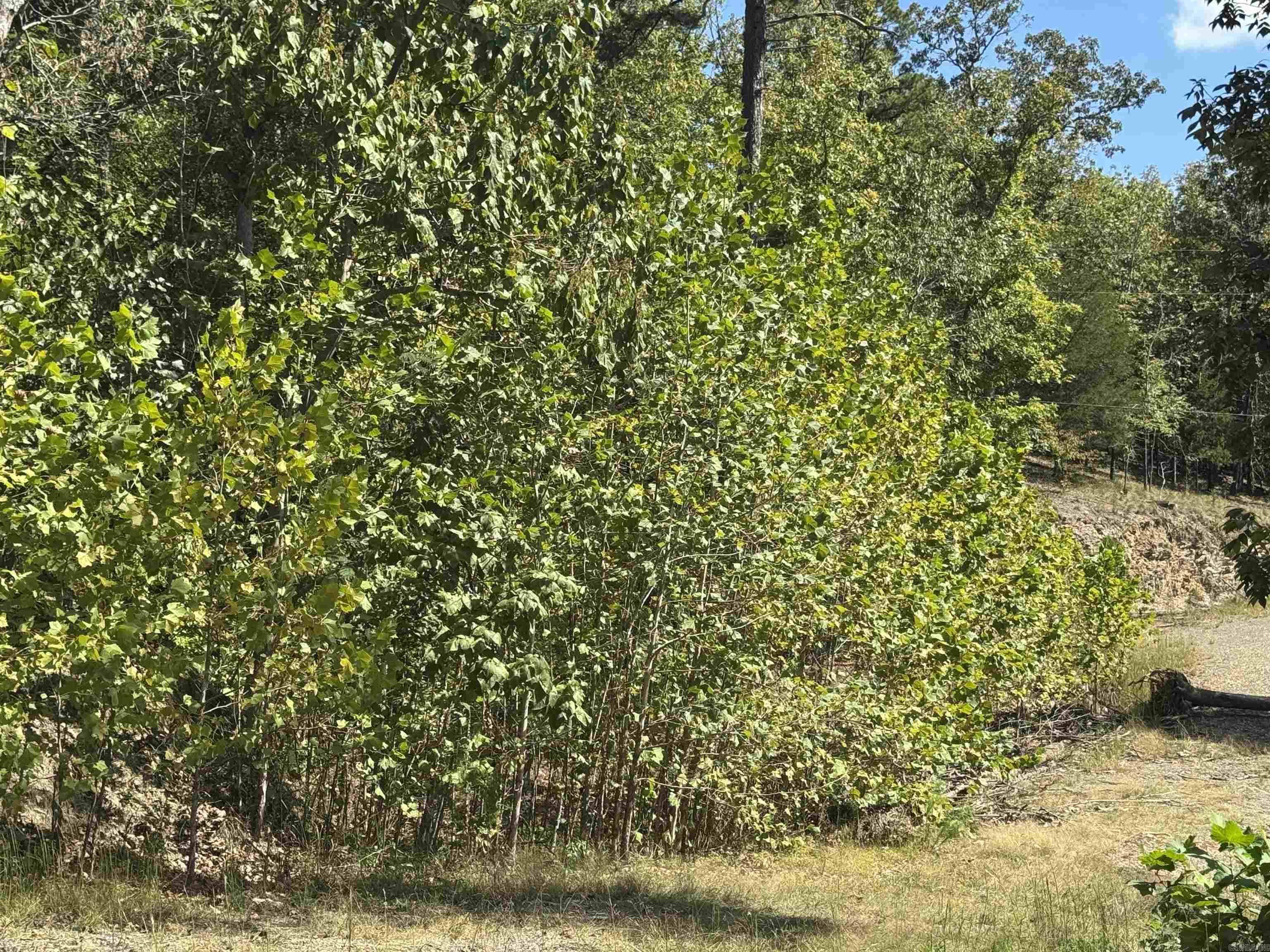 6408 Whipporwill  Alexander, AR