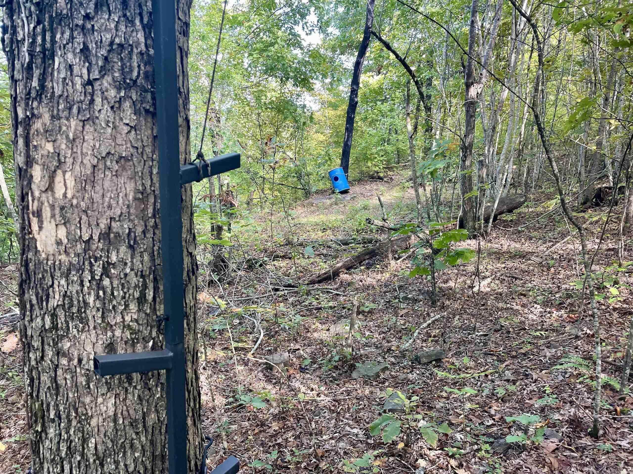 000 Watson Road  Clinton, AR