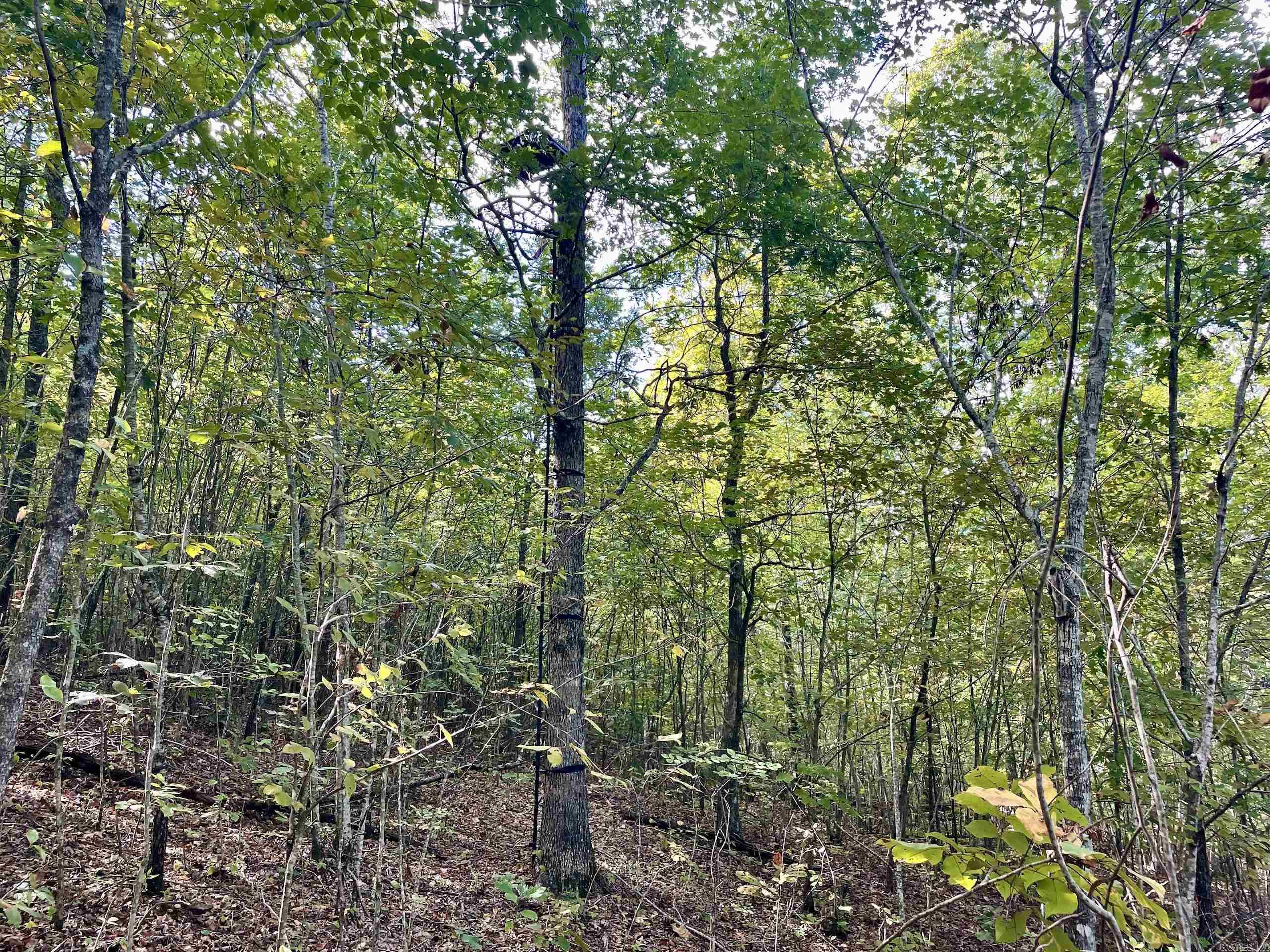 000 Watson Road  Clinton, AR