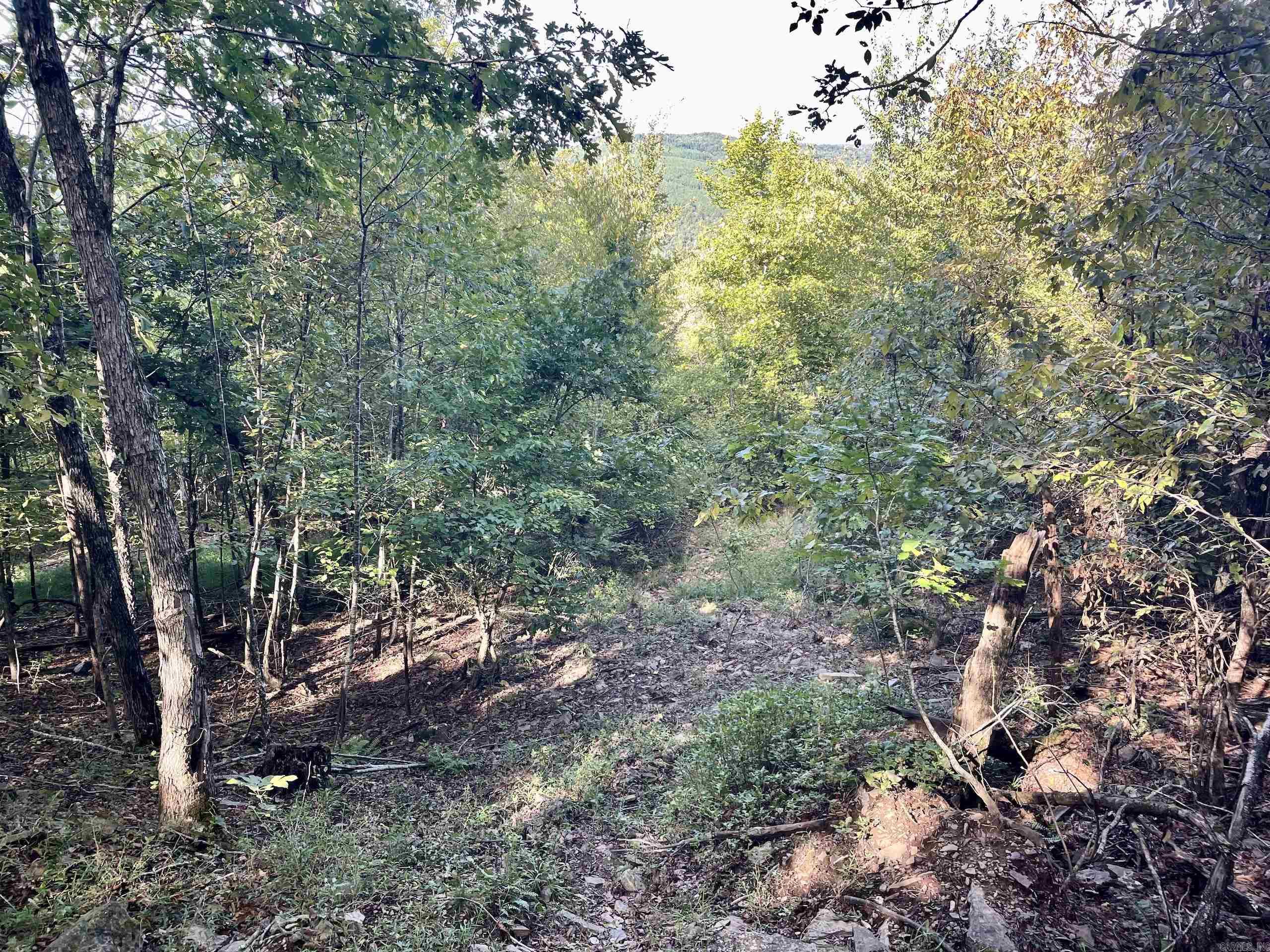 000 Watson Road  Clinton, AR