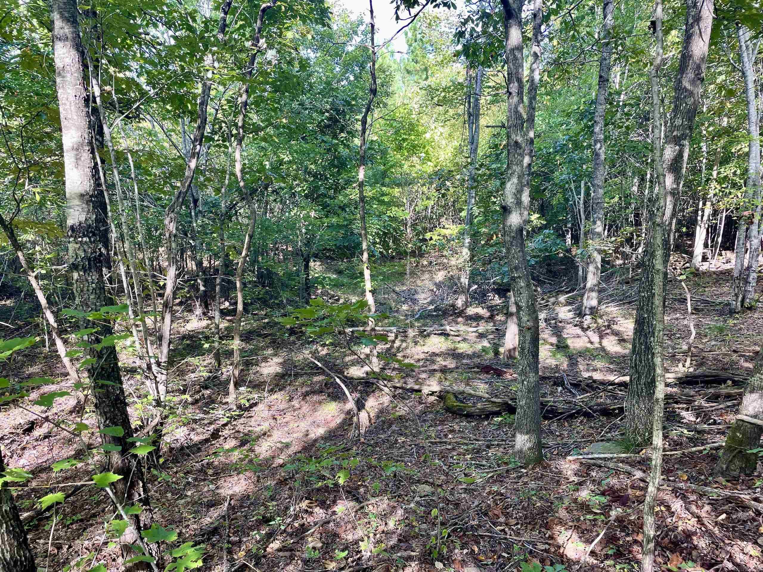000 Watson Road  Clinton, AR