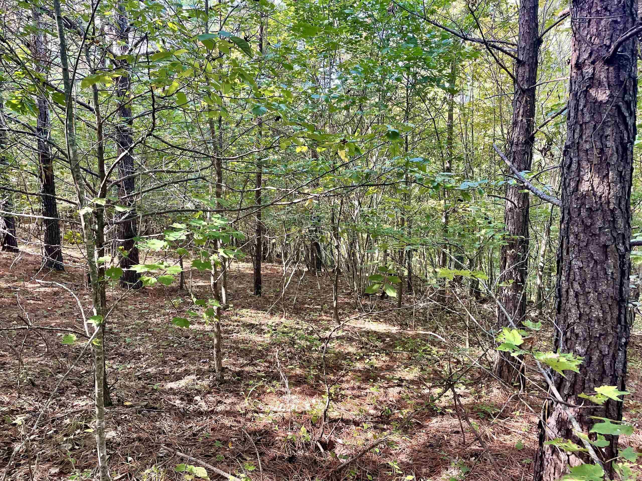000 Watson Road  Clinton, AR