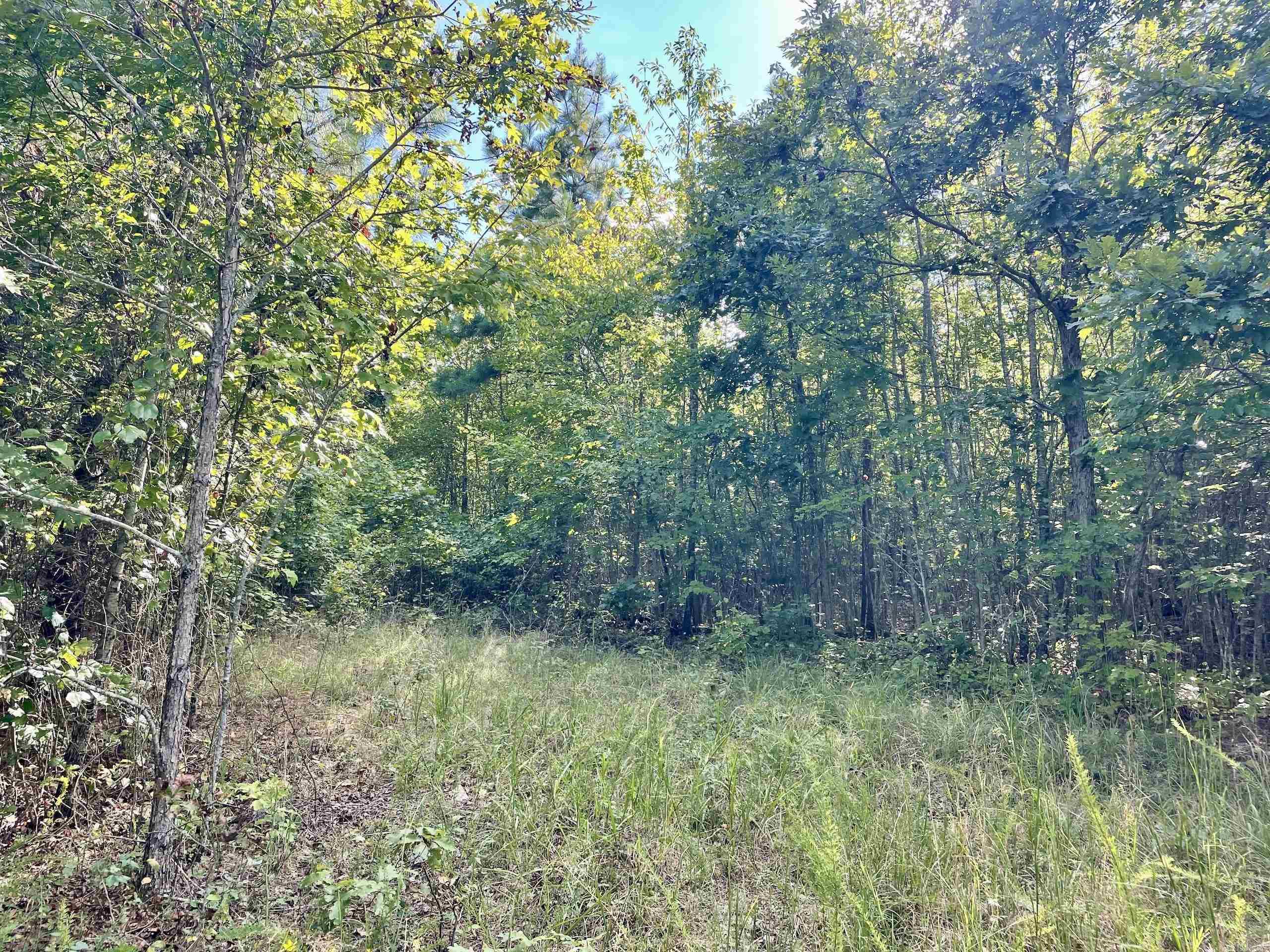 000 Watson Road  Clinton, AR