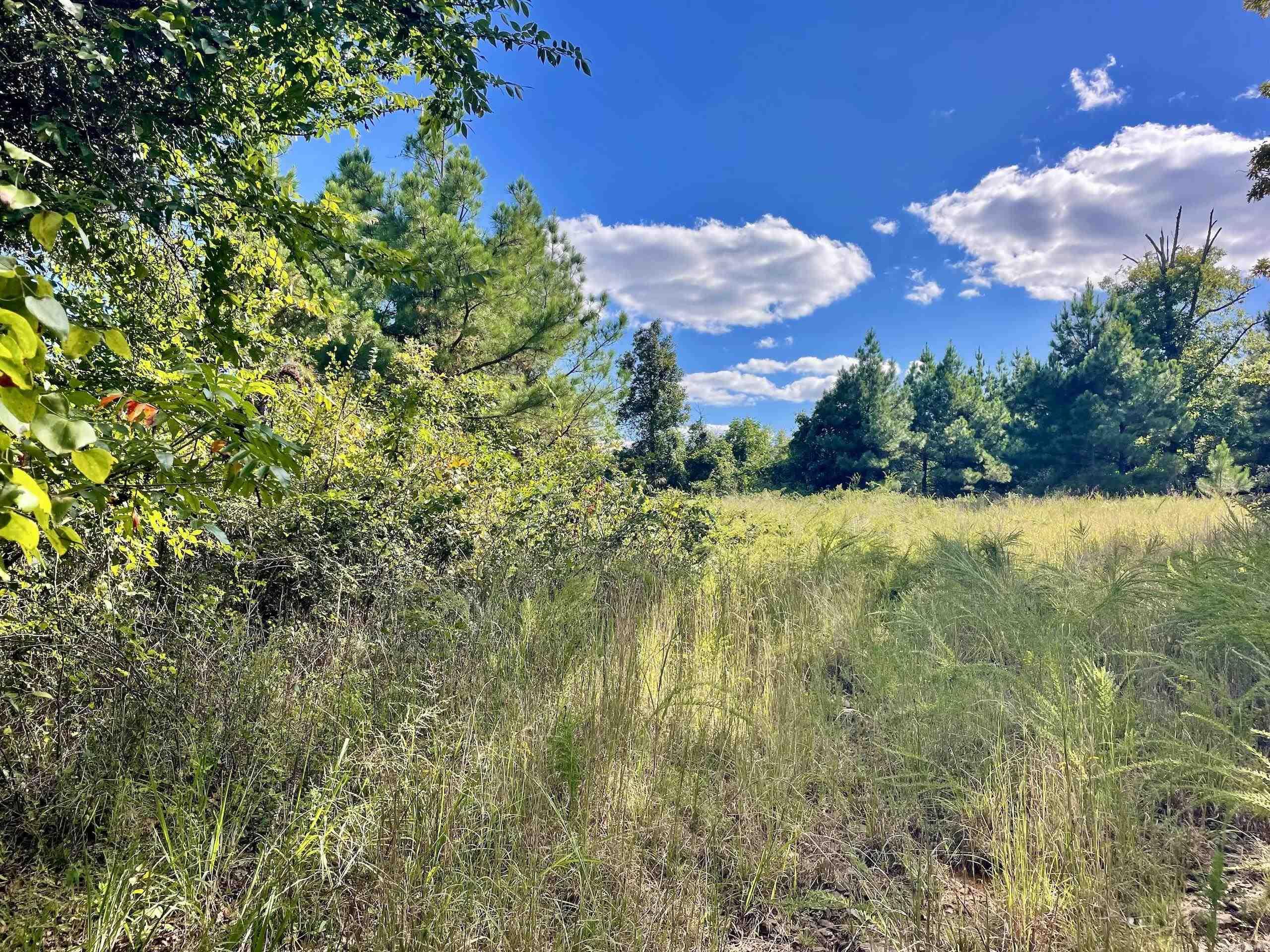 000 Watson Road  Clinton, AR