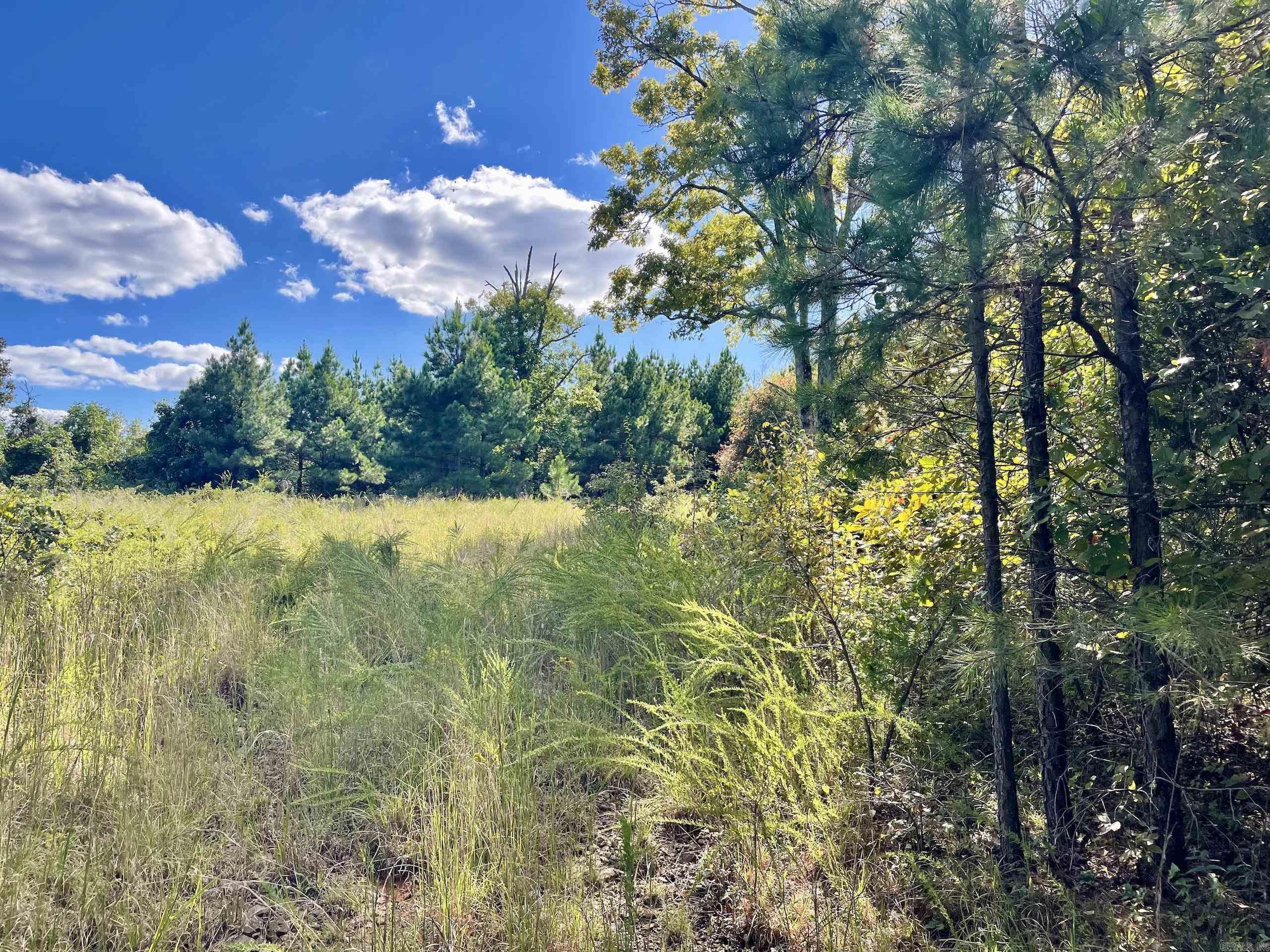 000 Watson Road  Clinton, AR