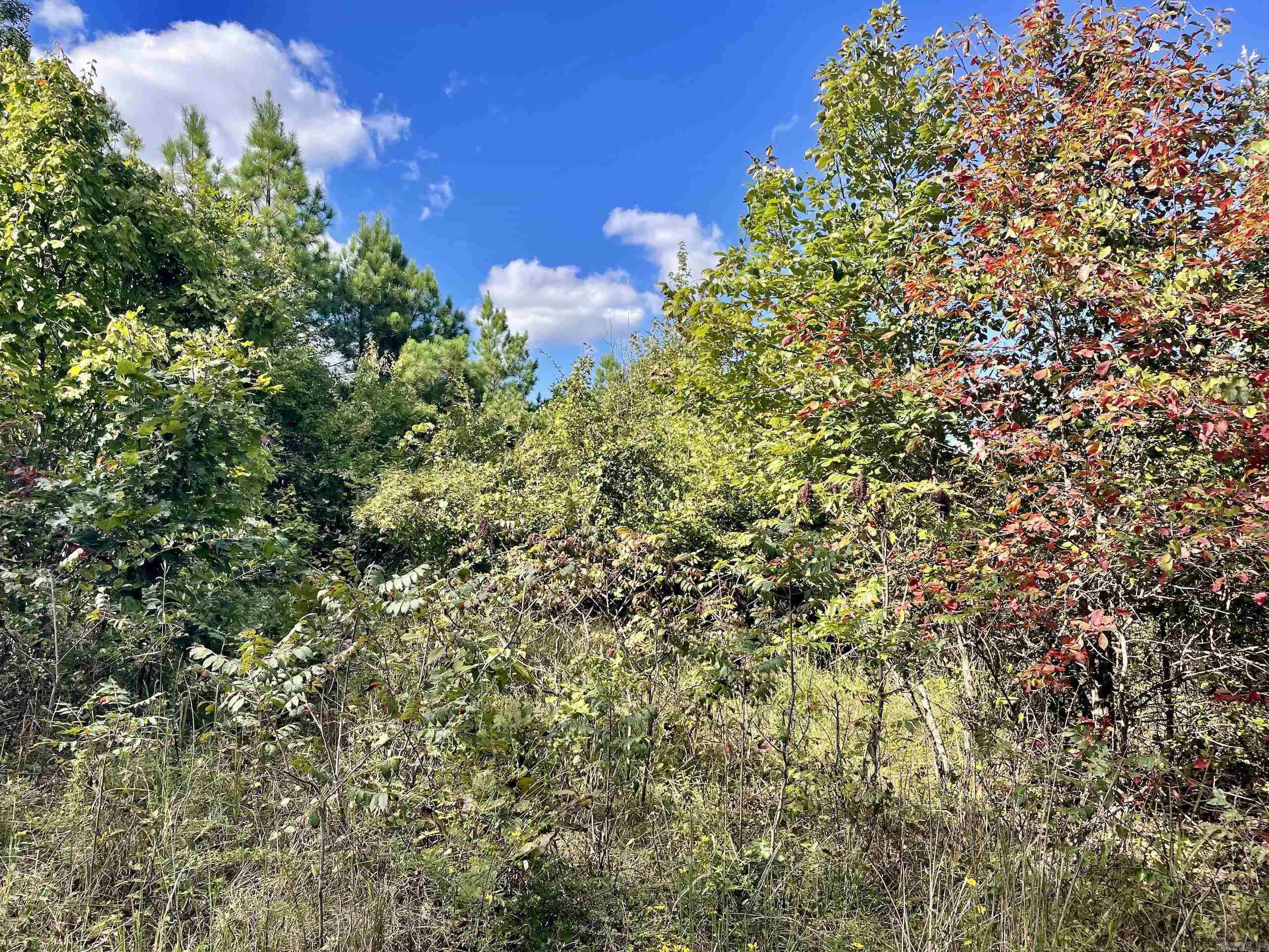 000 Watson Road  Clinton, AR