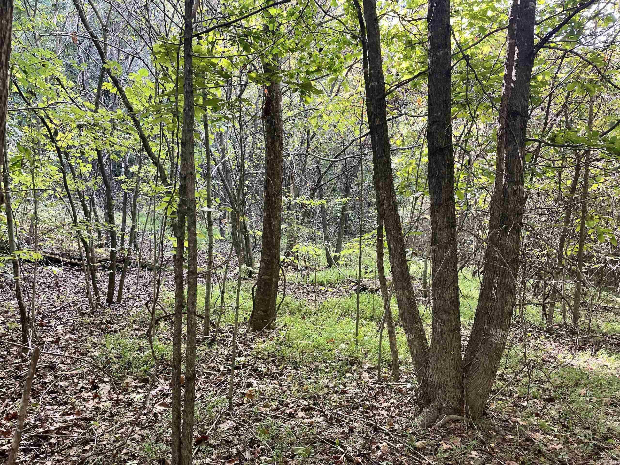 000 Watson Road  Clinton, AR