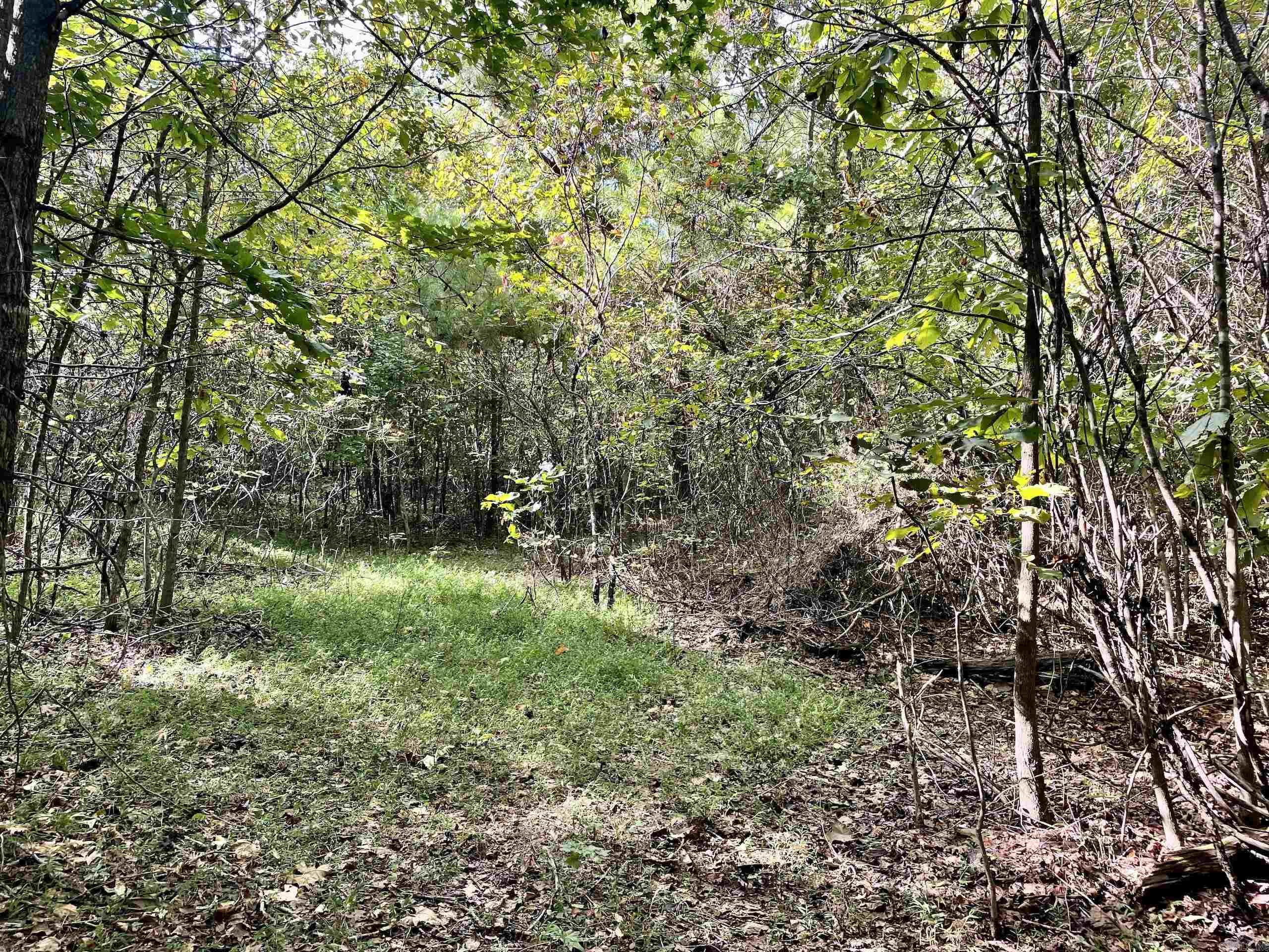 000 Watson Road  Clinton, AR