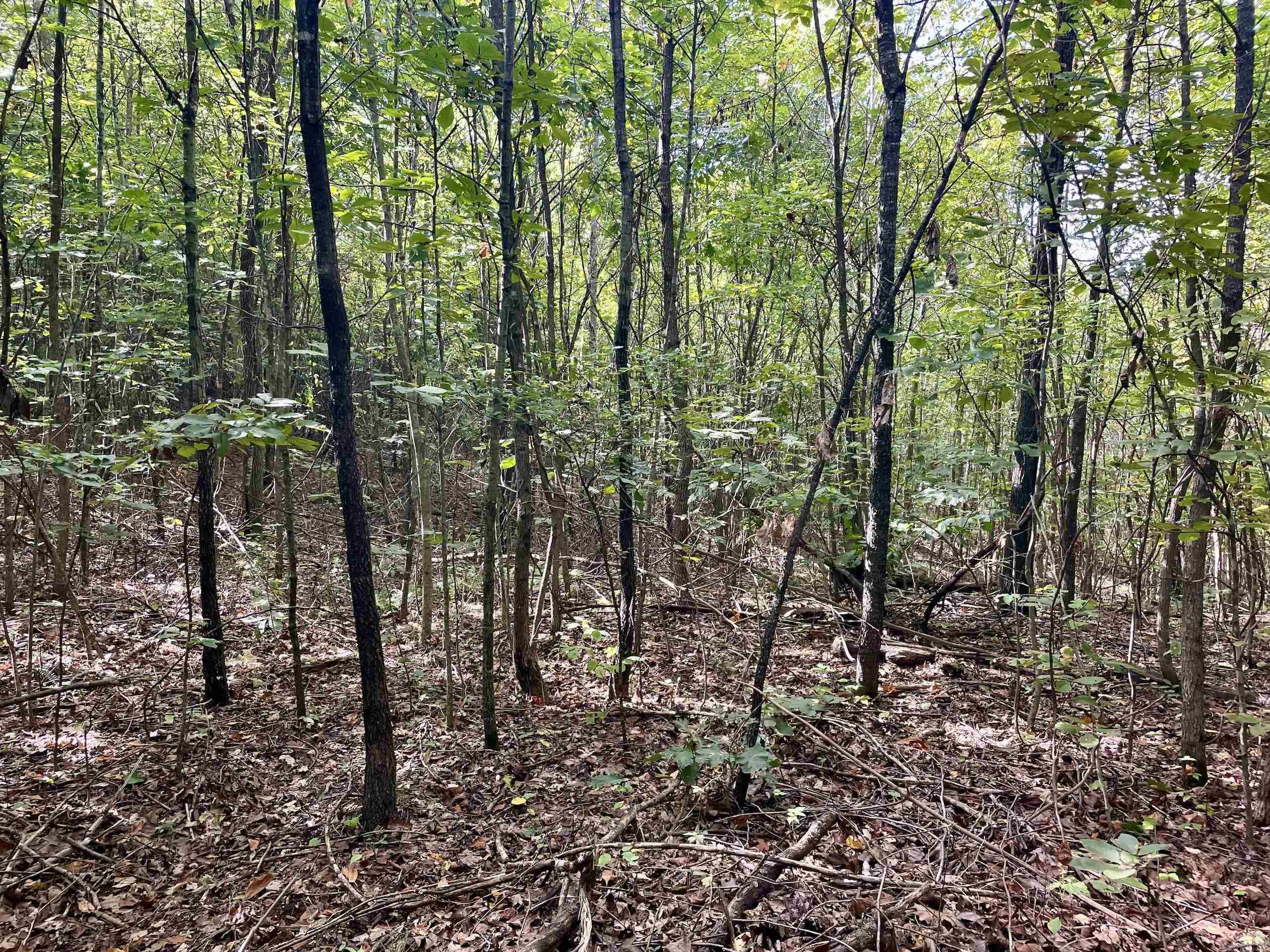 000 Watson Road  Clinton, AR