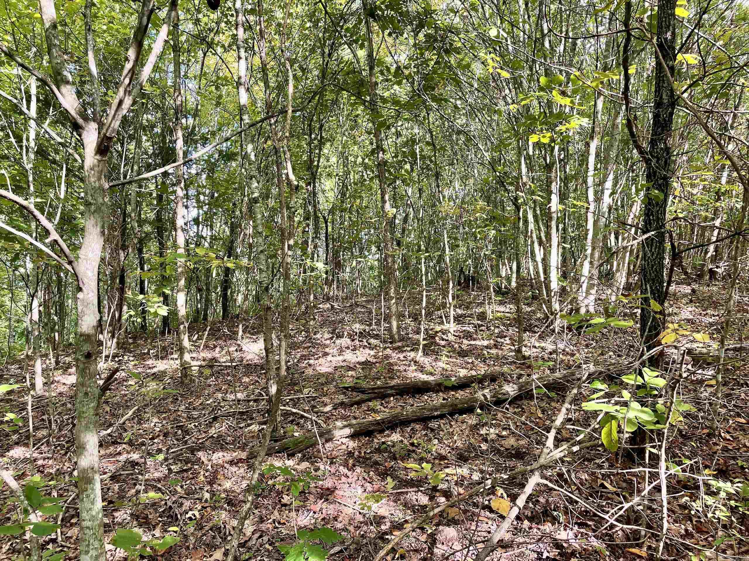 000 Watson Road  Clinton, AR