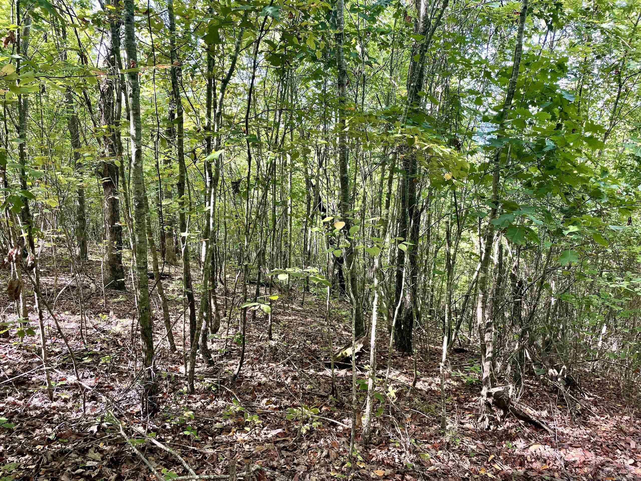 000 Watson Road  Clinton, AR