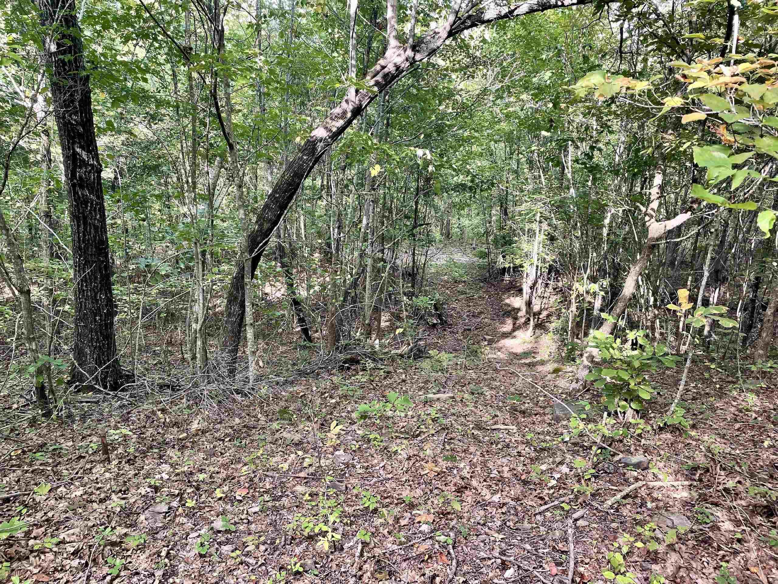 000 Watson Road  Clinton, AR