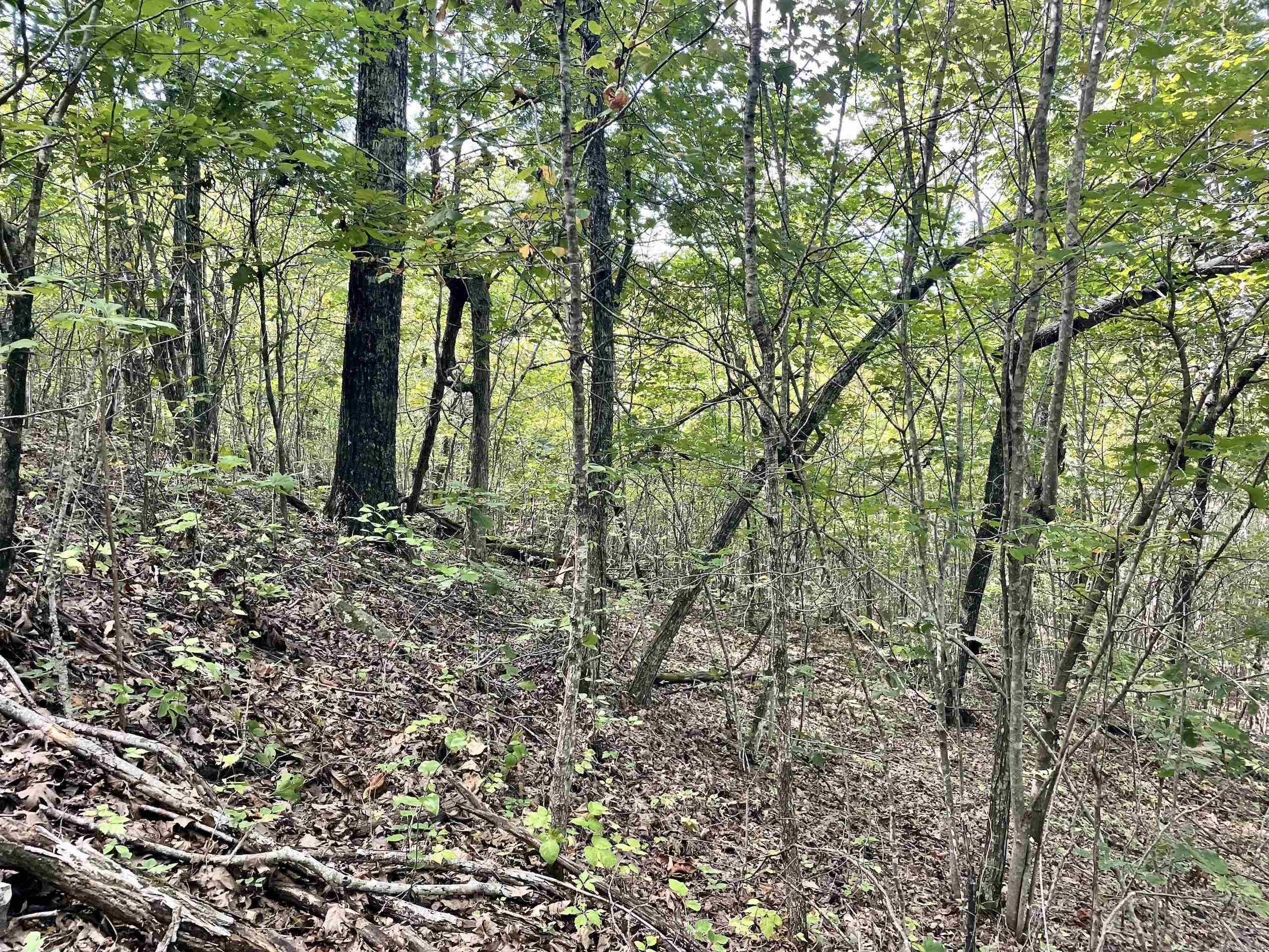 000 Watson Road  Clinton, AR