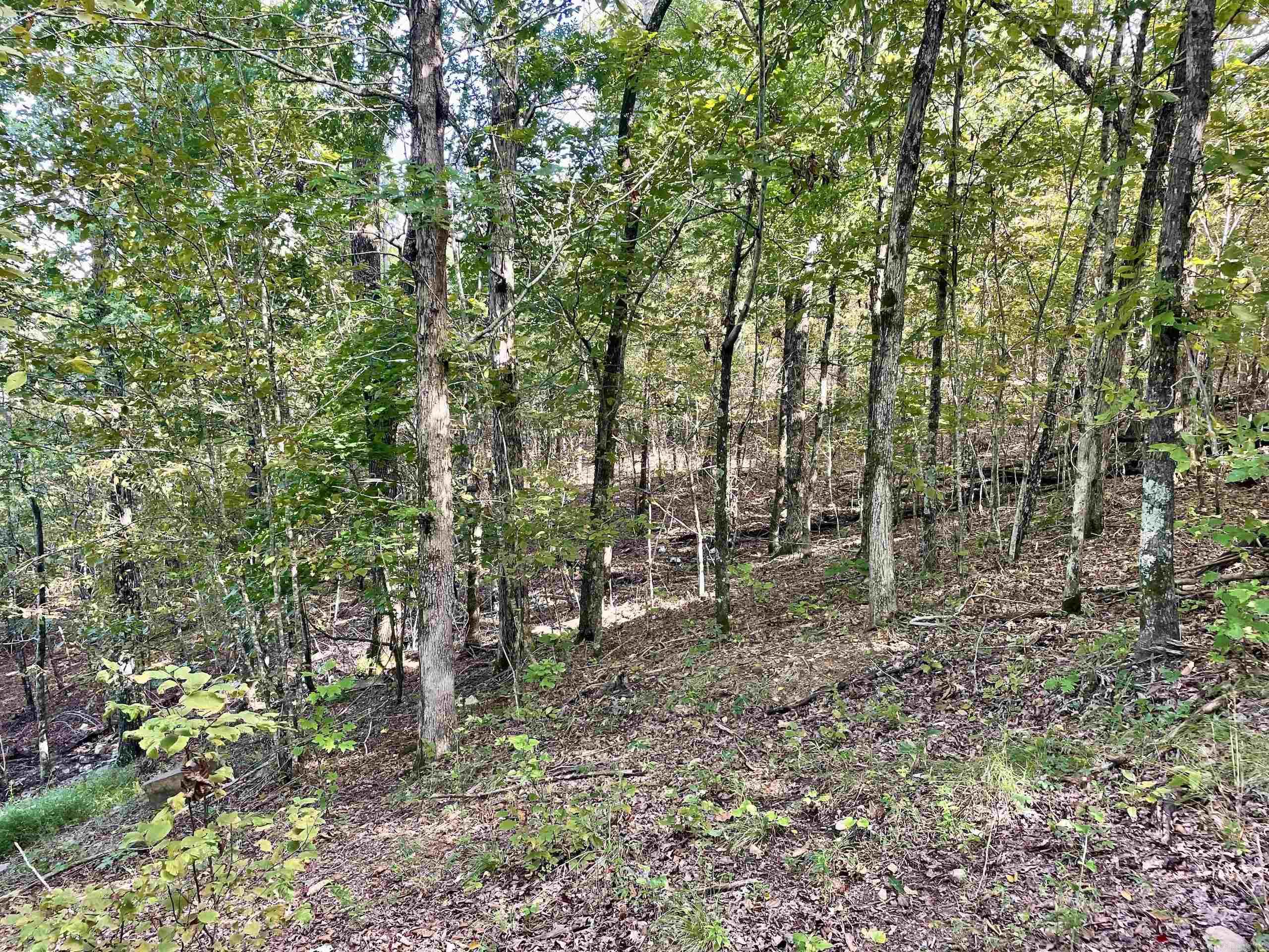 000 Watson Road  Clinton, AR