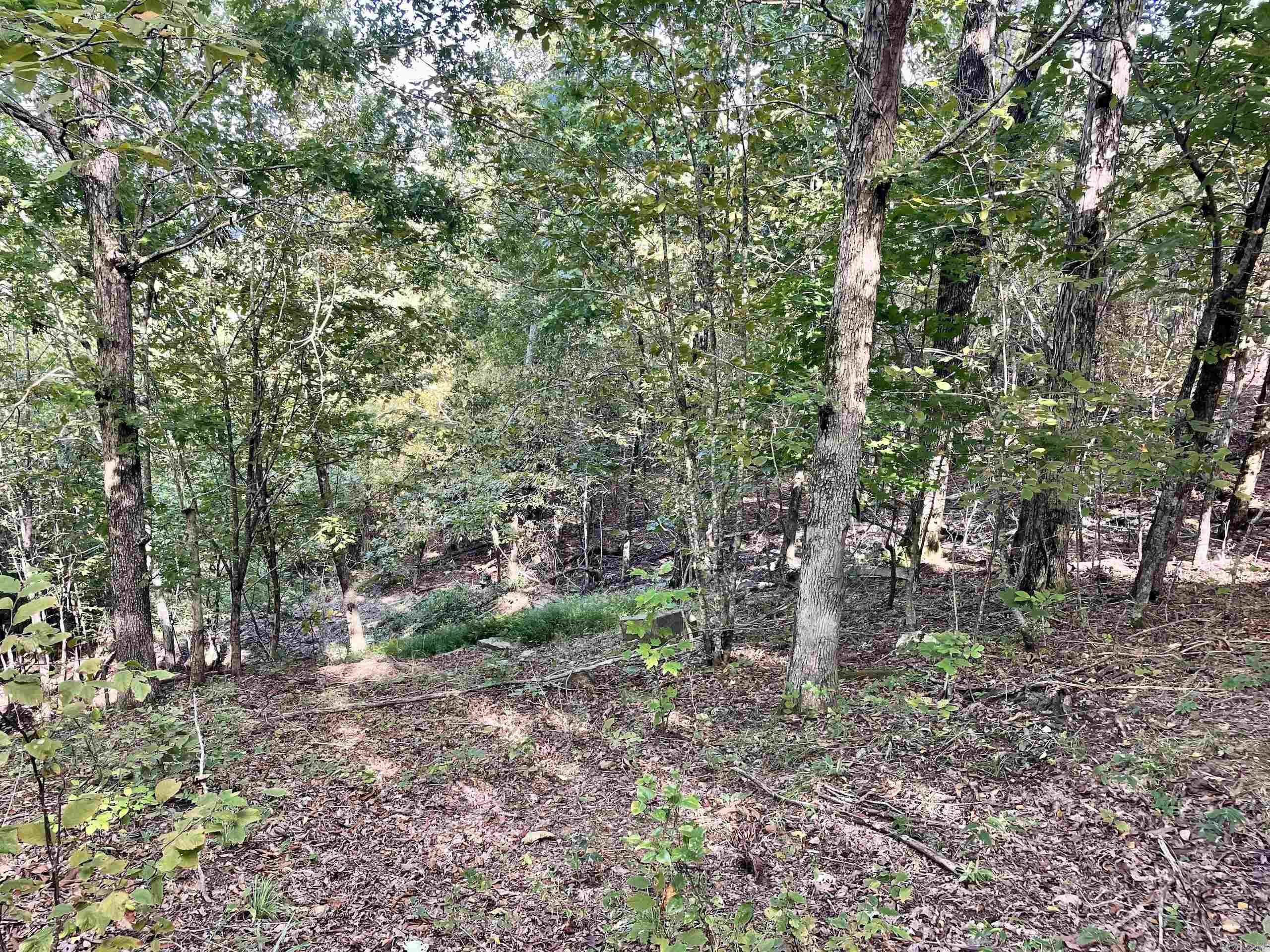 000 Watson Road  Clinton, AR