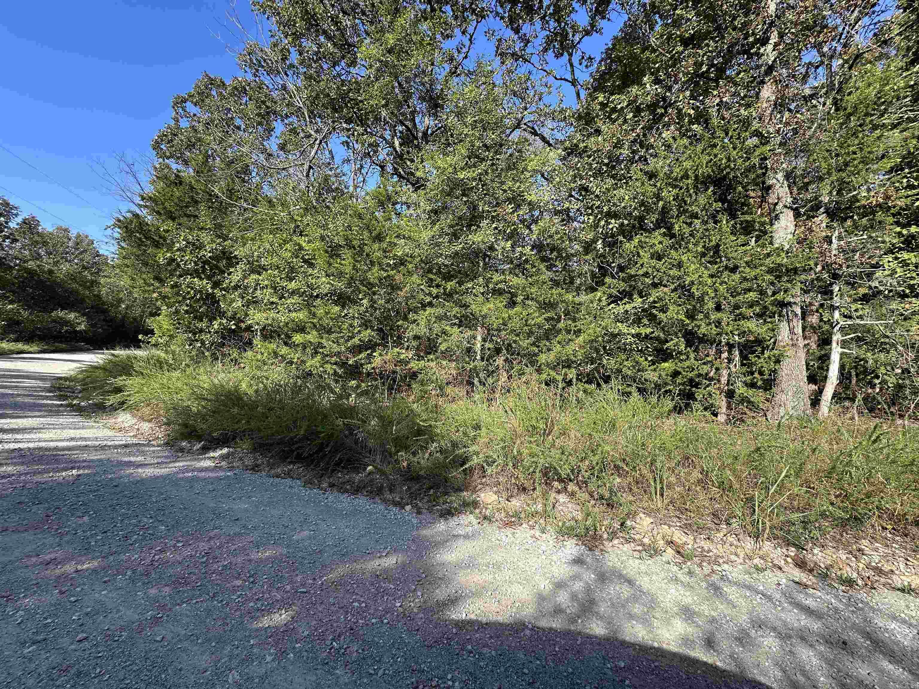 Lots 1 & 2 Round Mountain Drive  Flippin, AR