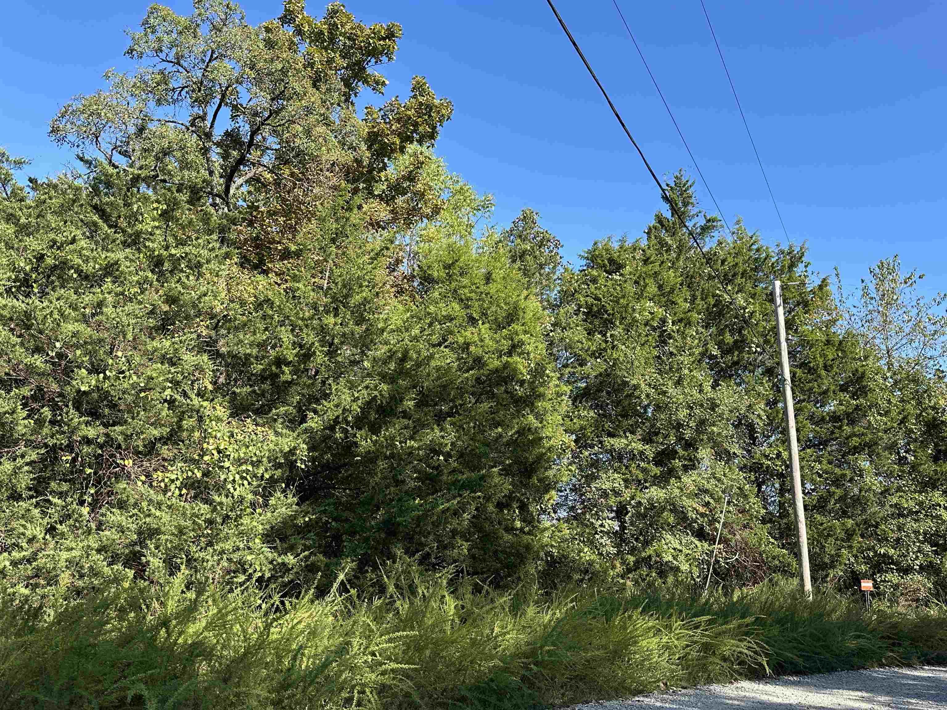 Lots 1 & 2 Round Mountain Drive  Flippin, AR