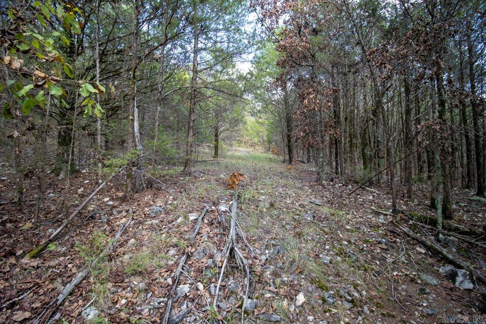 0000 Needle's Eye Trail  Mammoth Spring, AR