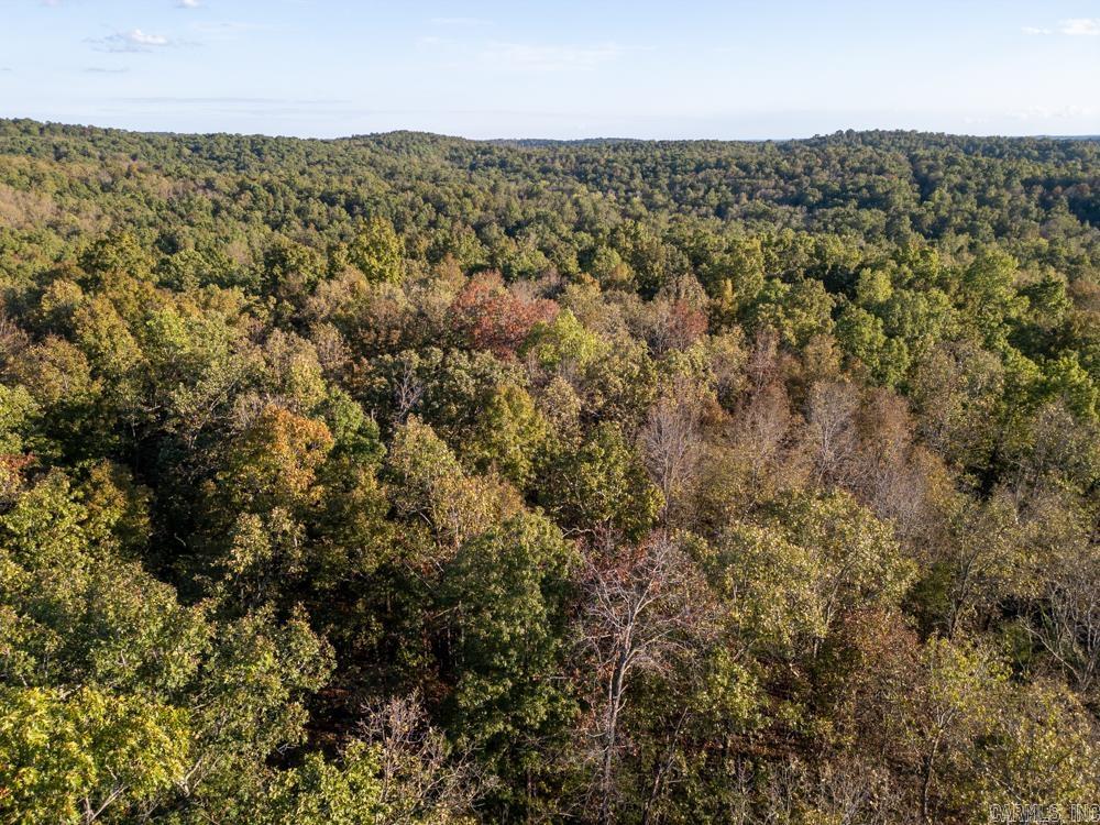 0000 Needle's Eye Trail  Mammoth Spring, AR