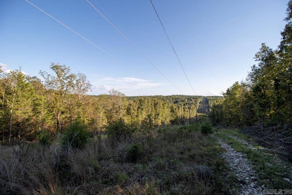 0000 Needle's Eye Trail  Mammoth Spring, AR