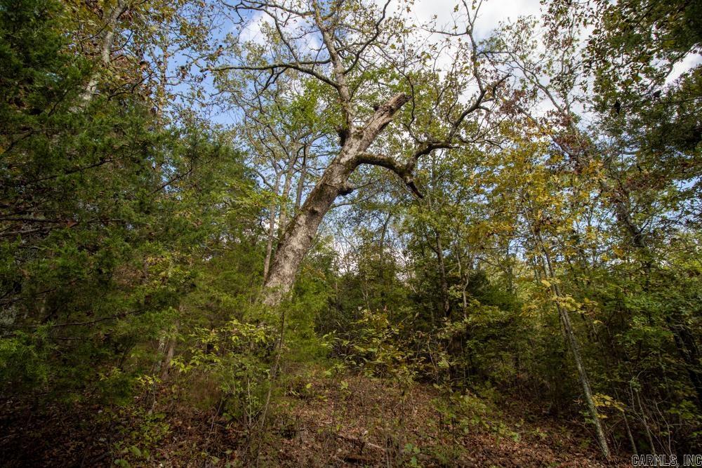 0000 Needle's Eye Trail  Mammoth Spring, AR