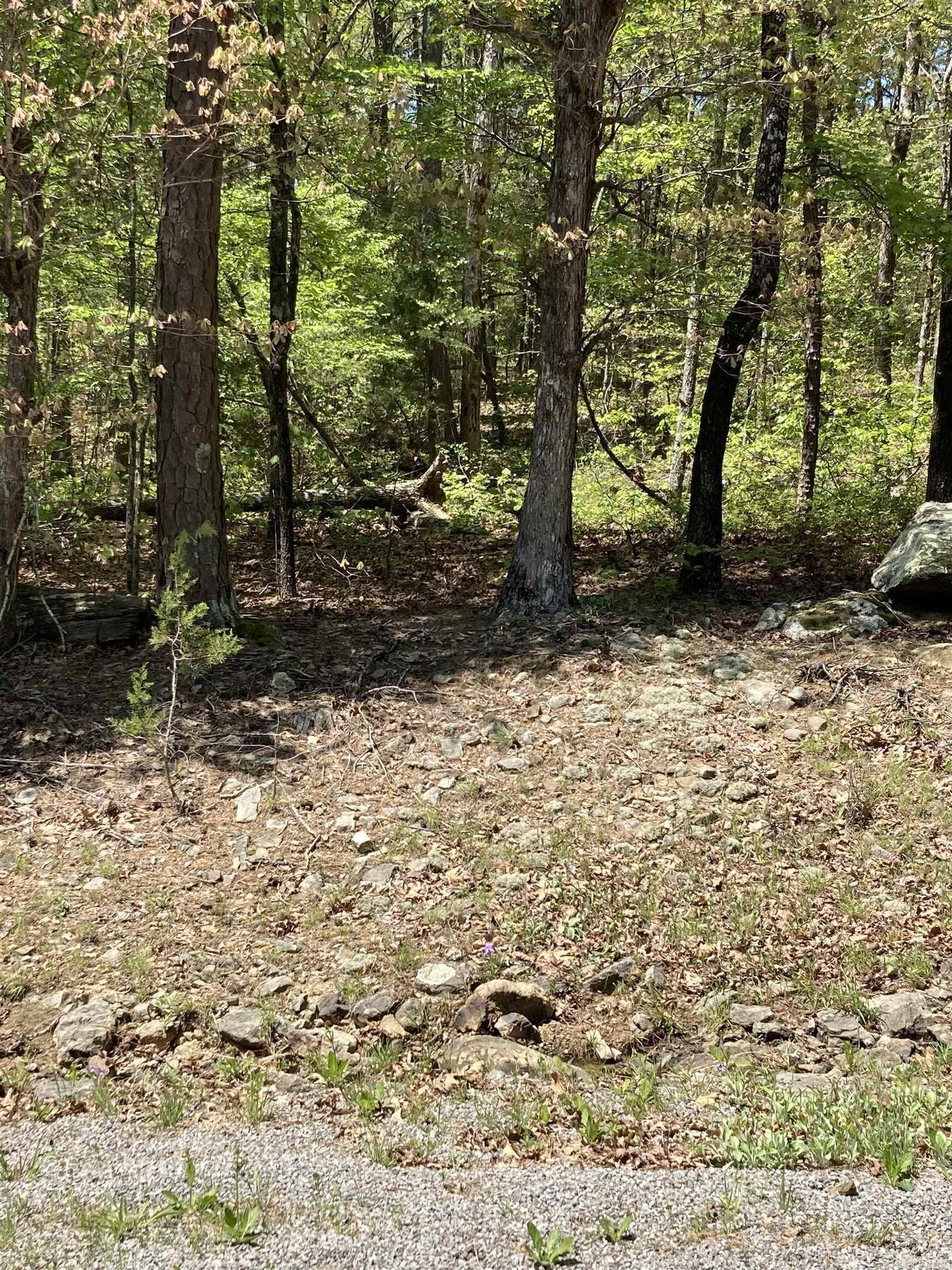 Lot 46 Block 15 Cambrige  Fairfield Bay, AR