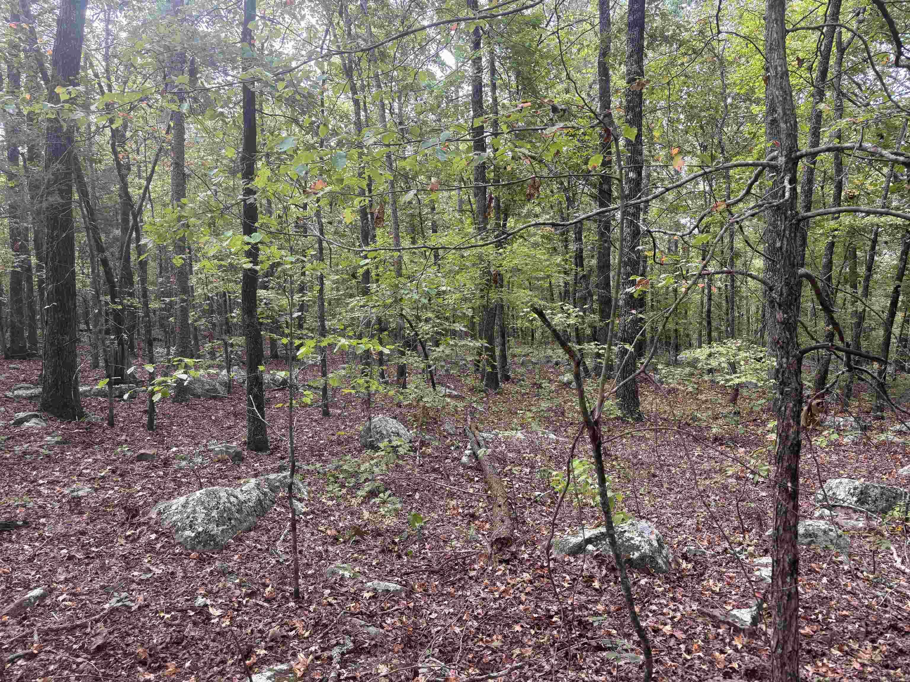 1907 Hwy 65North  Clinton, AR