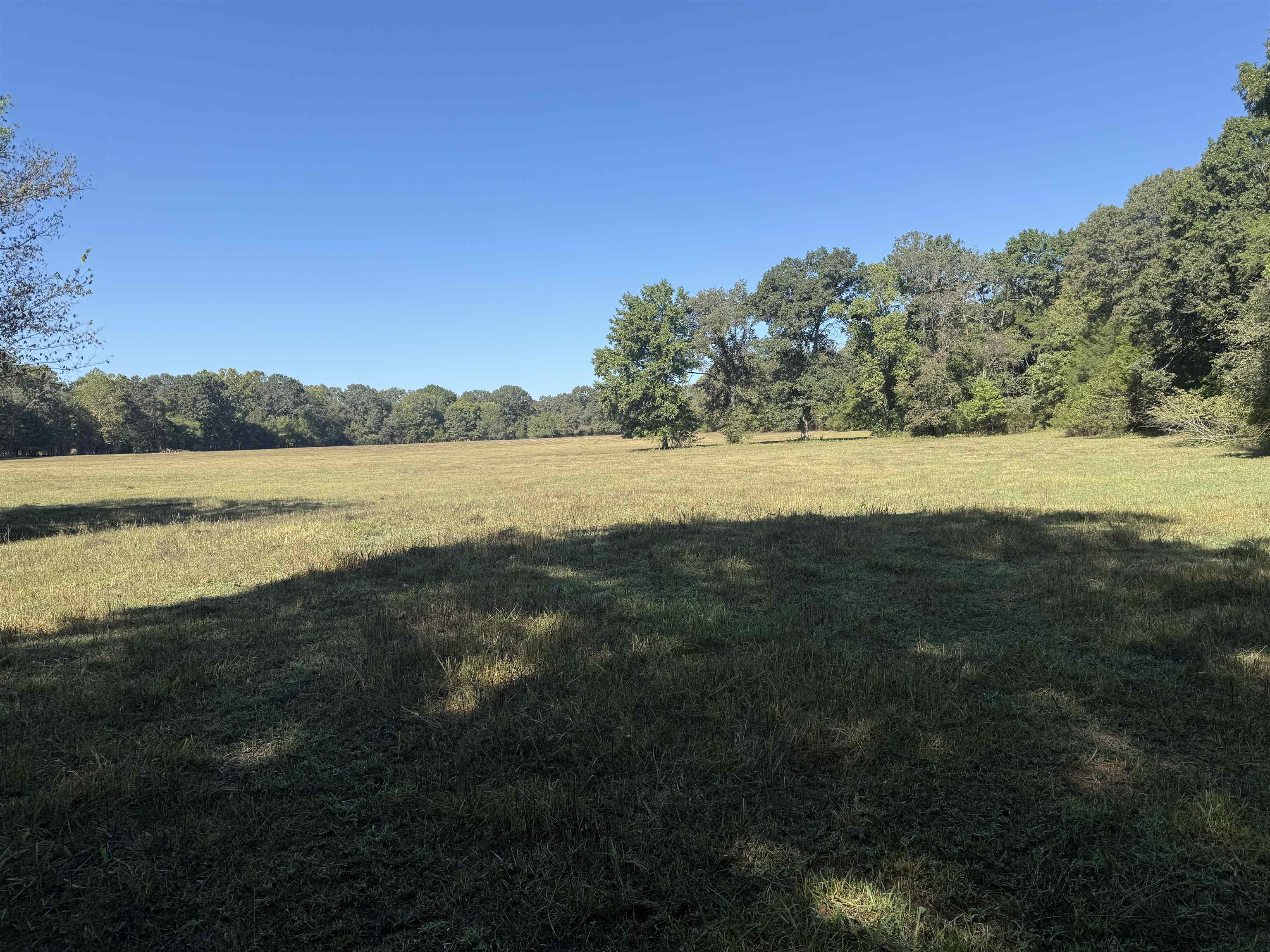 217 Carpenter Road  Evening Shade, AR