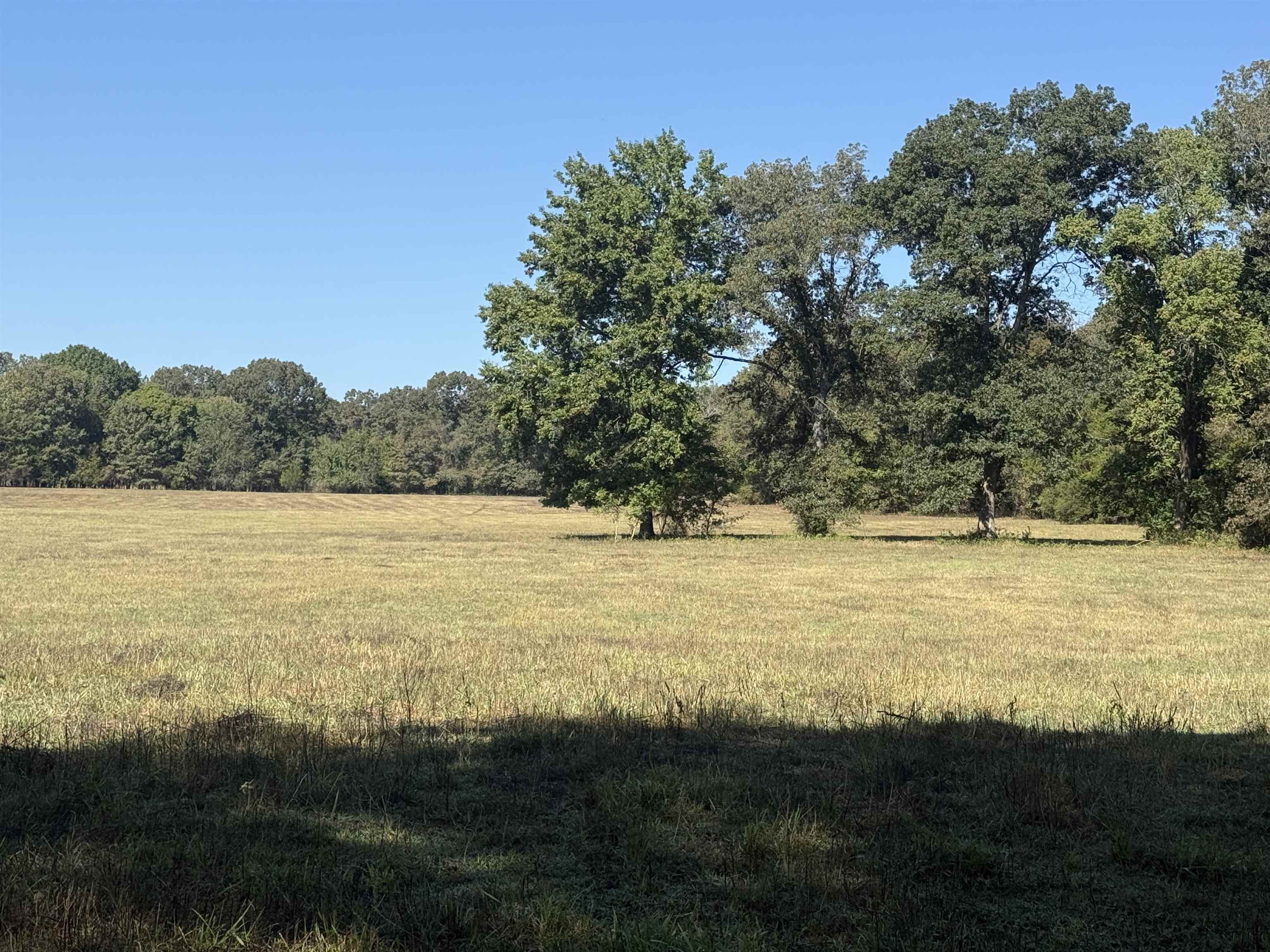217 Carpenter Road  Evening Shade, AR