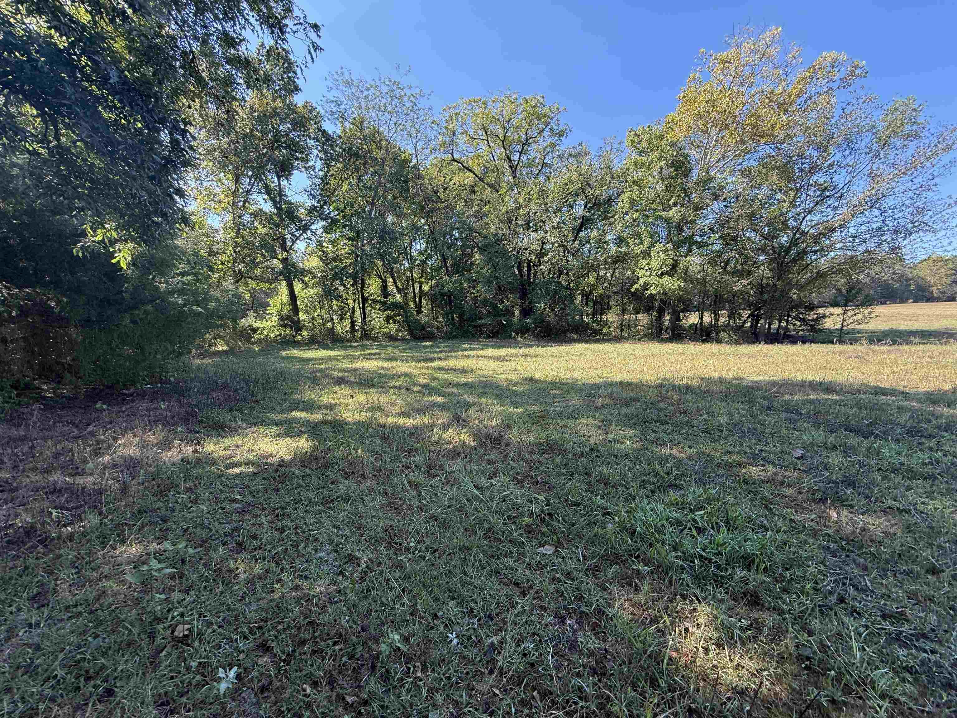217 Carpenter Road  Evening Shade, AR