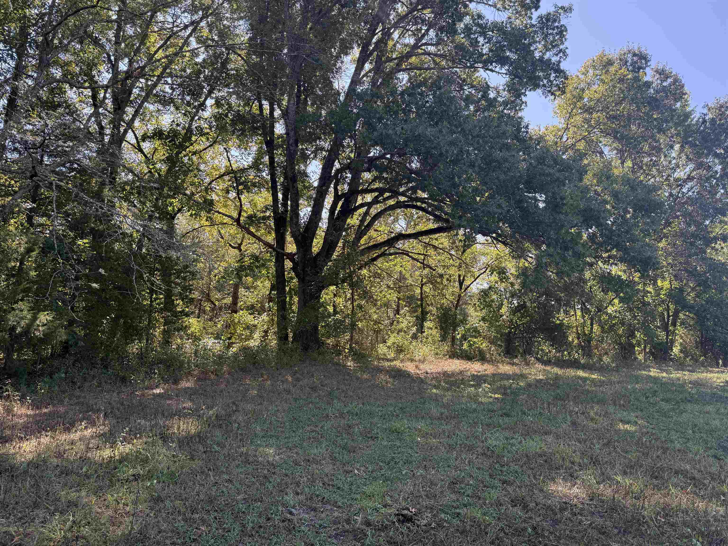 217 Carpenter Road  Evening Shade, AR
