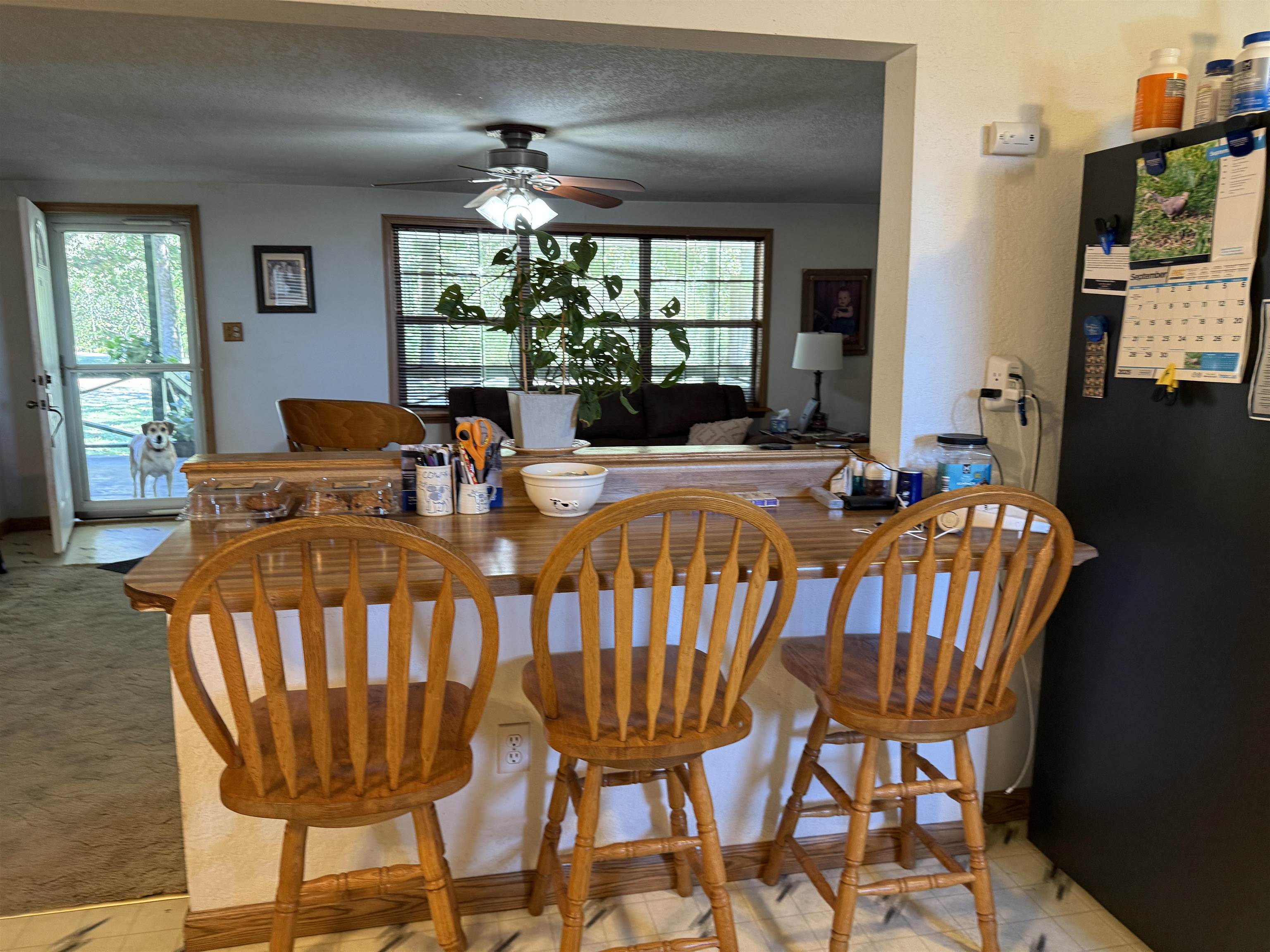 217 Carpenter Road  Evening Shade, AR
