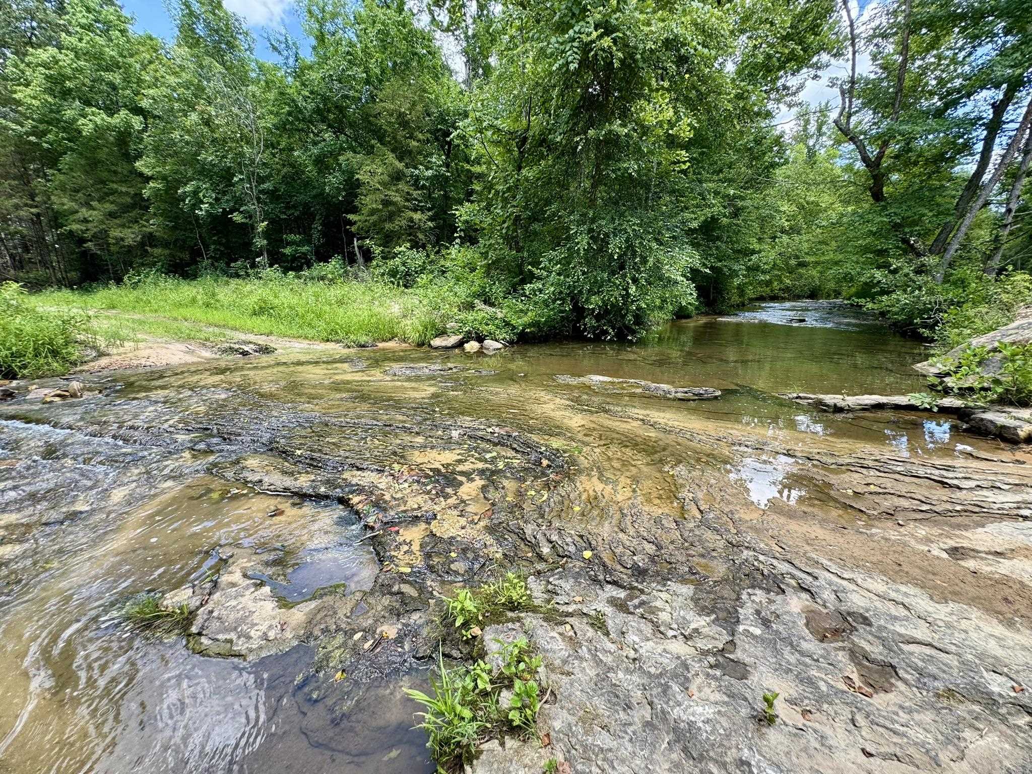 177 acres Rose Trail  Melbourne, AR