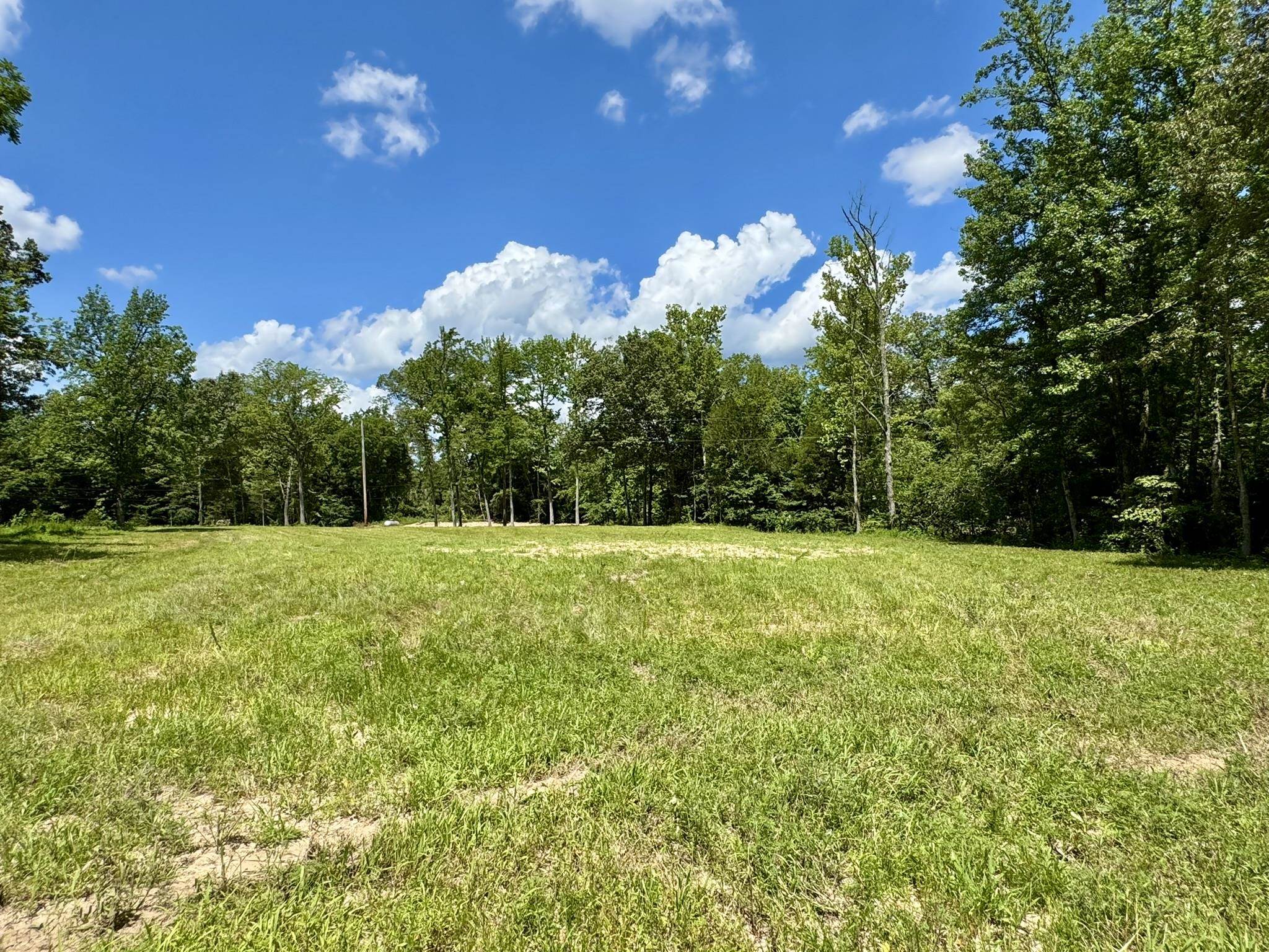 177 acres Rose Trail  Melbourne, AR