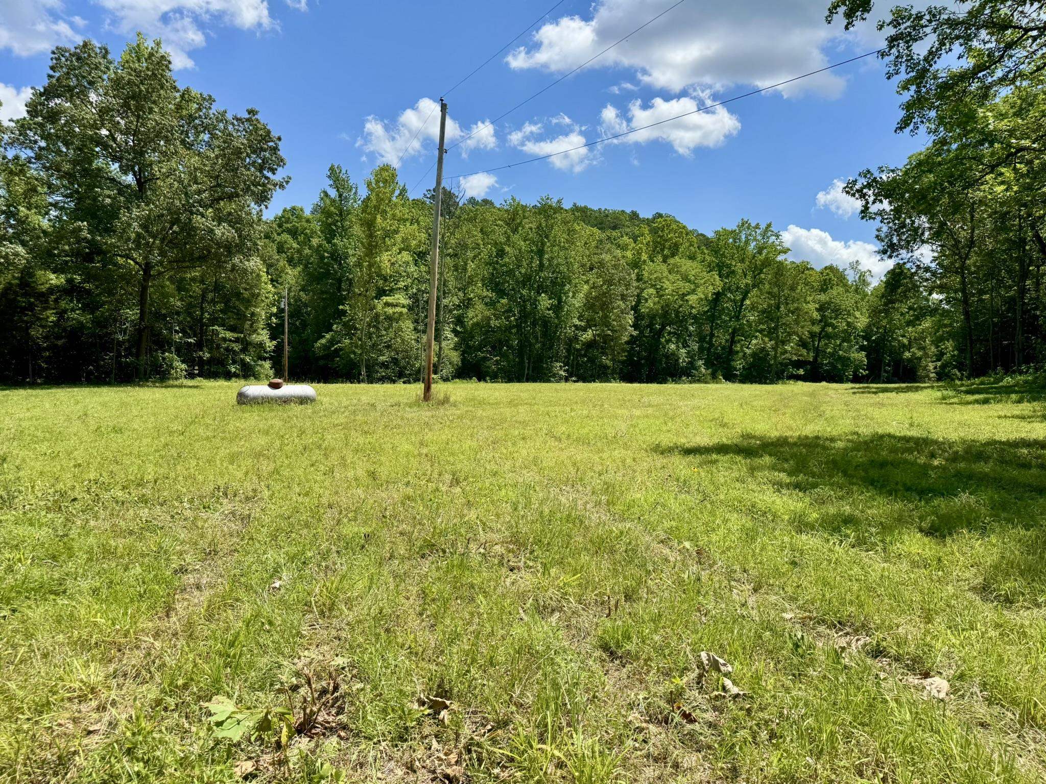 177 acres Rose Trail  Melbourne, AR