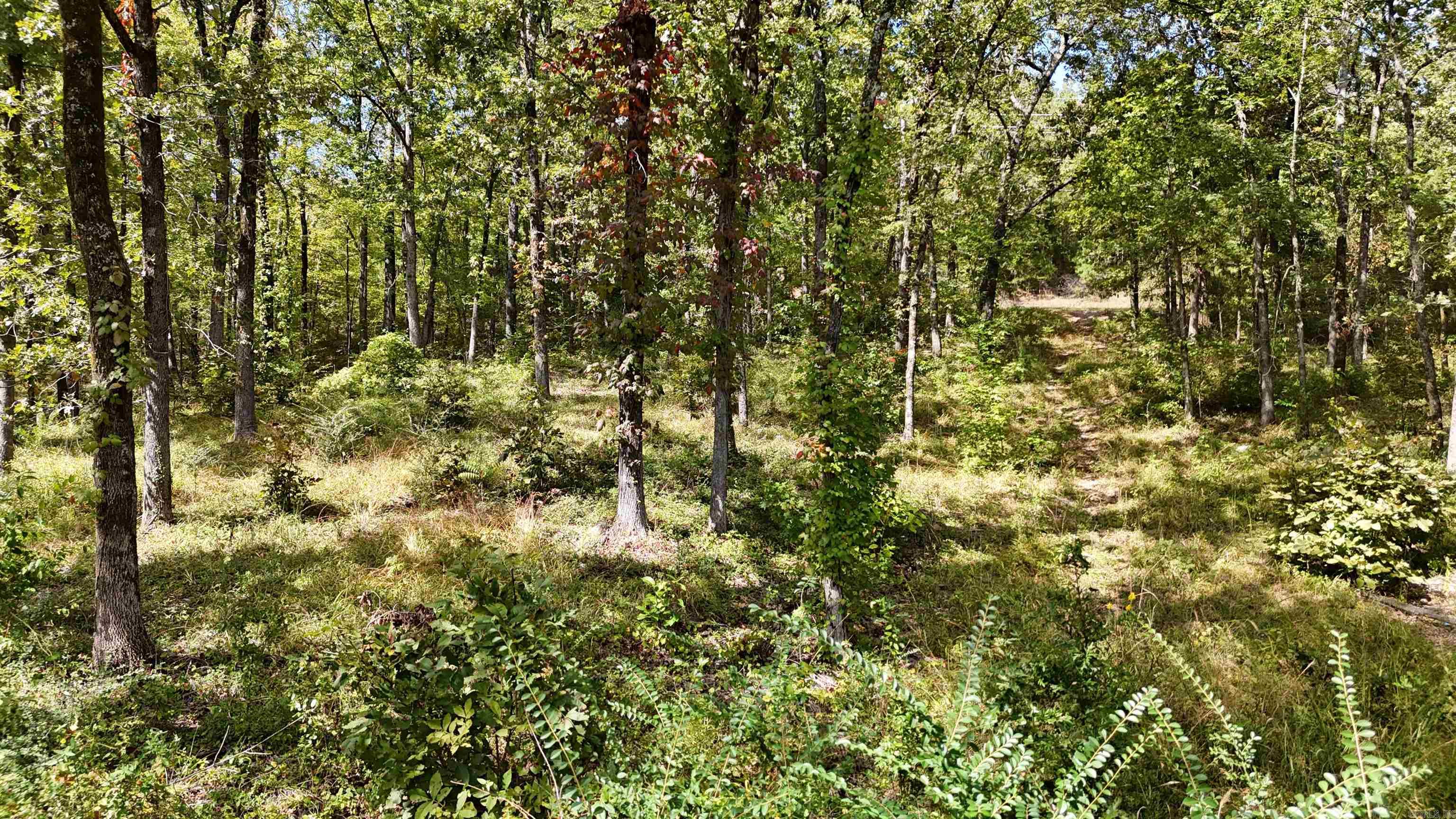 TBD Janssen  Mena, AR