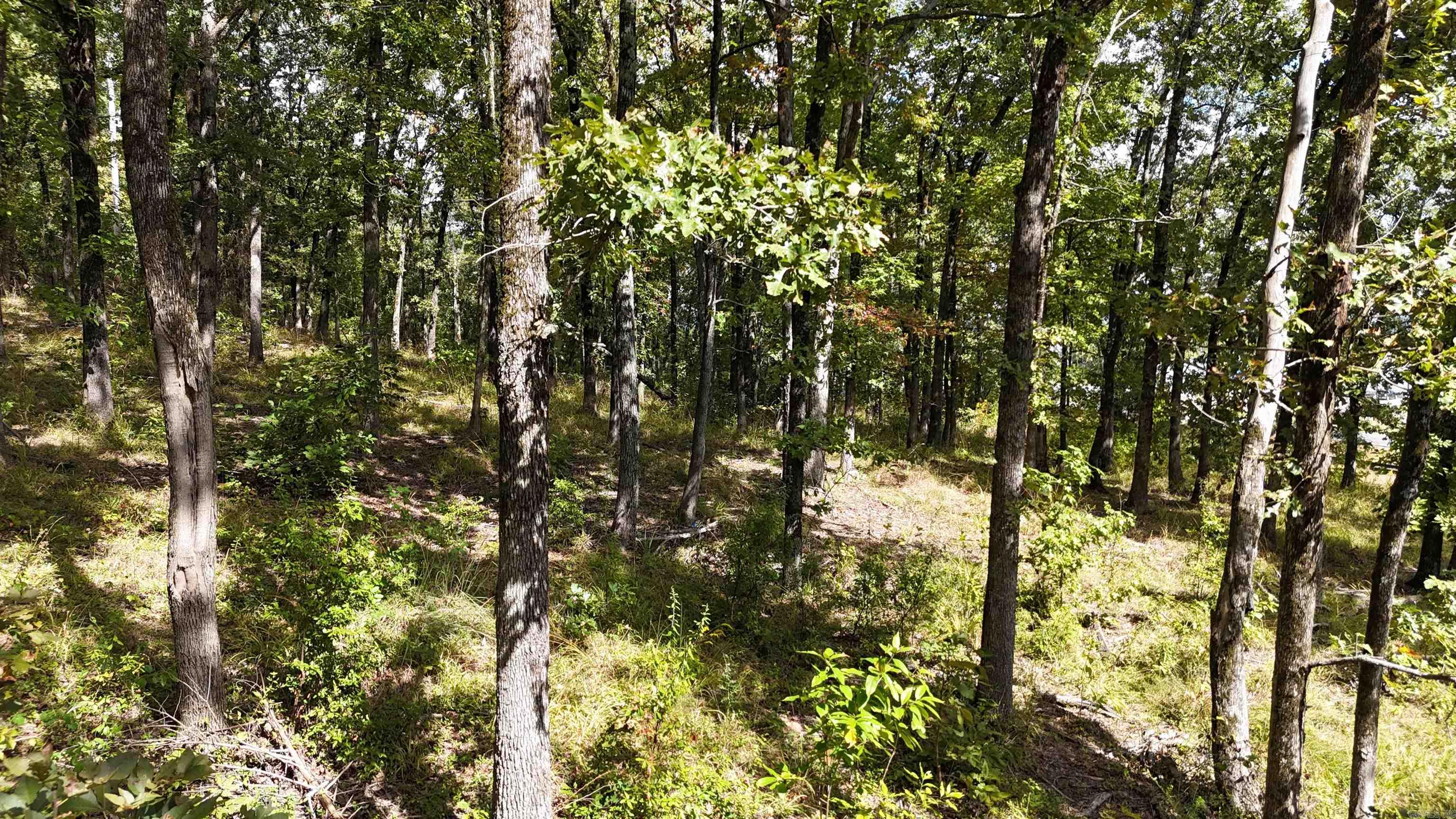 TBD Janssen  Mena, AR