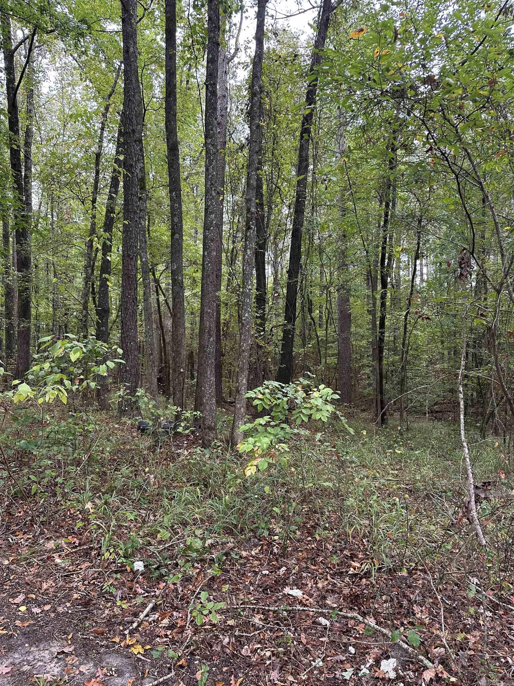 12607 Hwy 35  Benton, AR