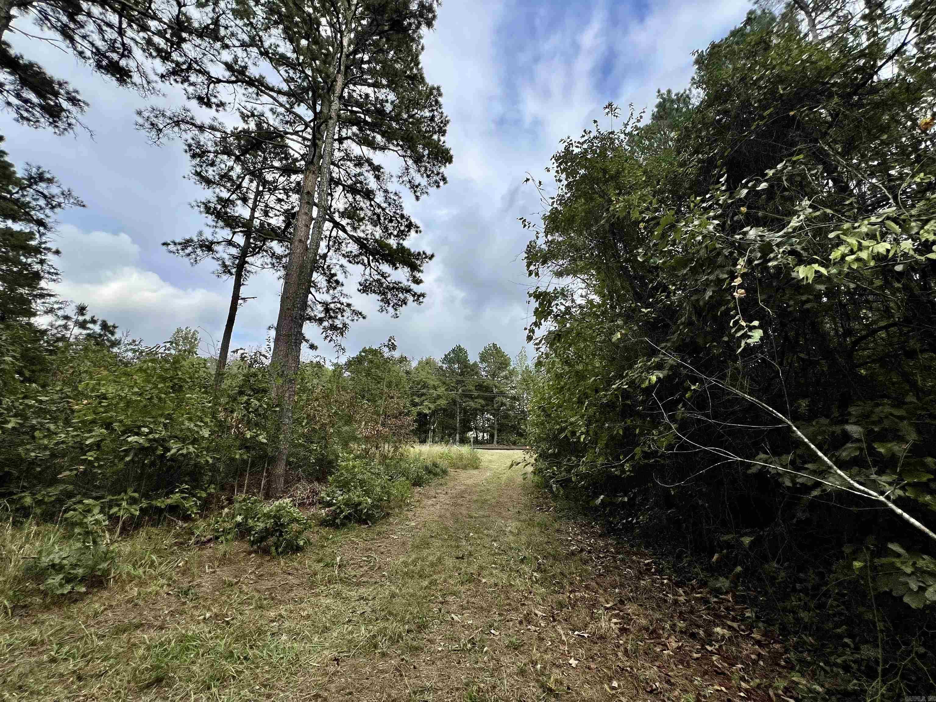 830 Fox Chase  Higden, AR