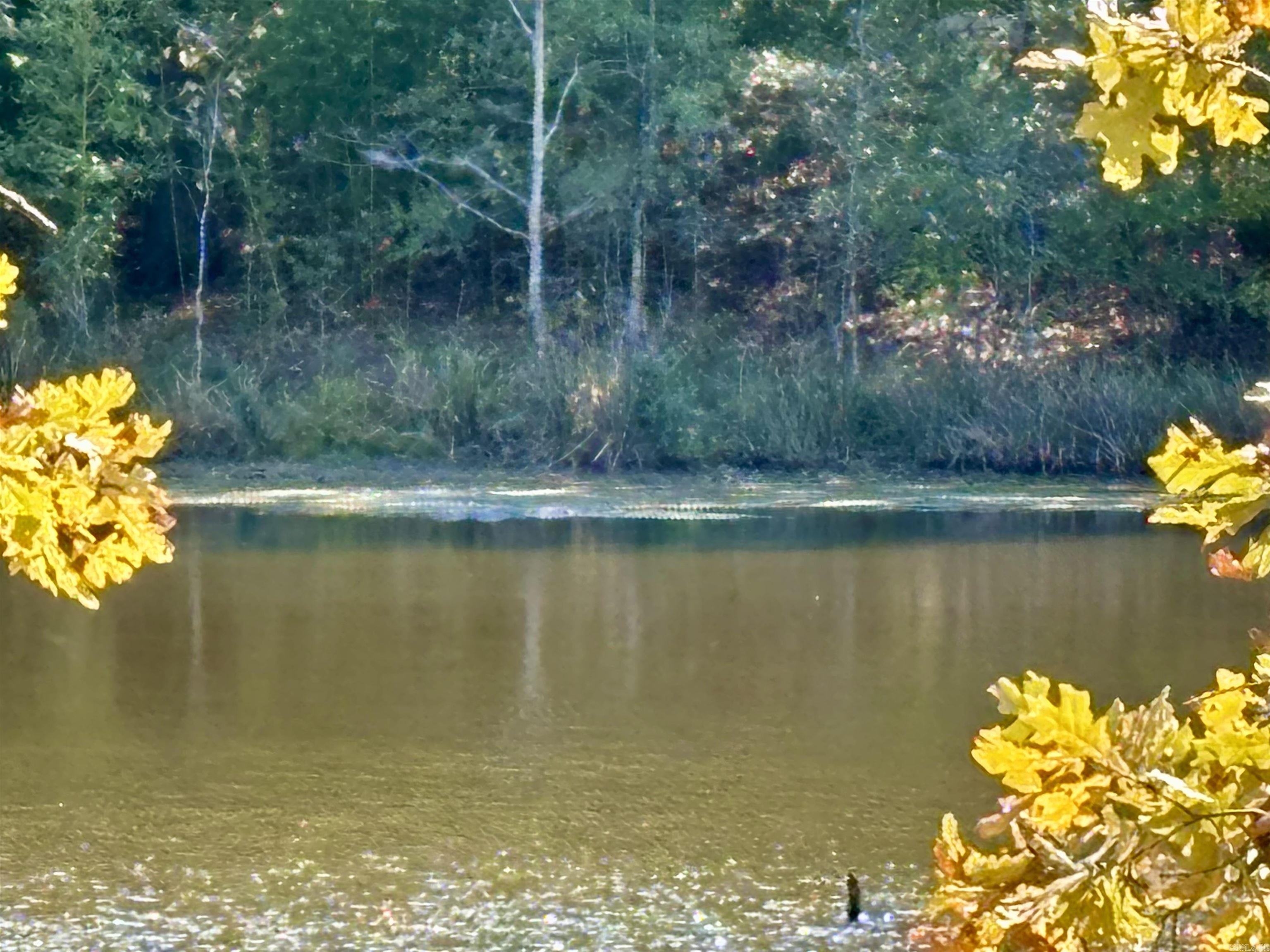 201 Morgan Loop Rd  DeWitt, AR