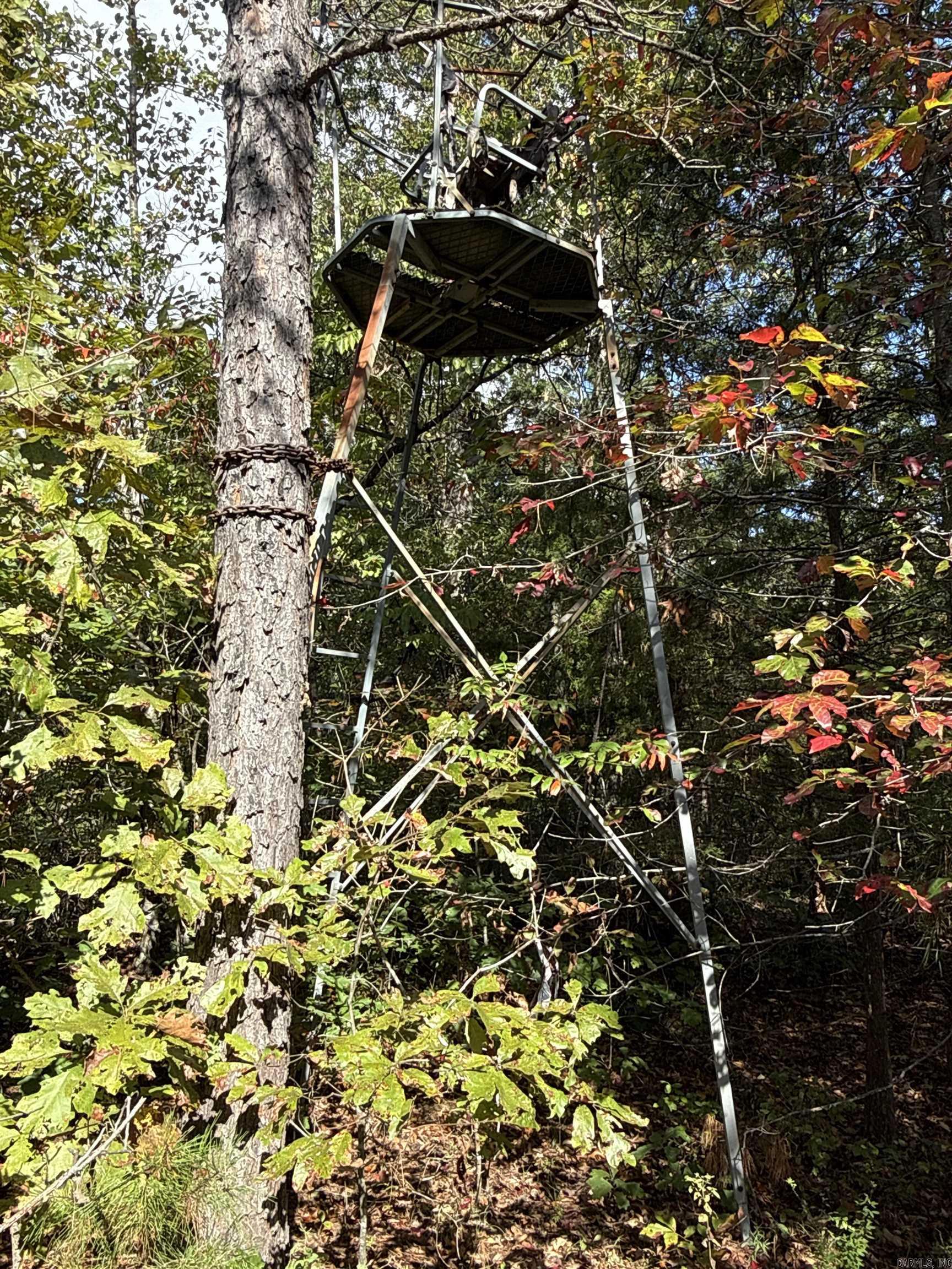 159 Deer Run  Leslie, AR