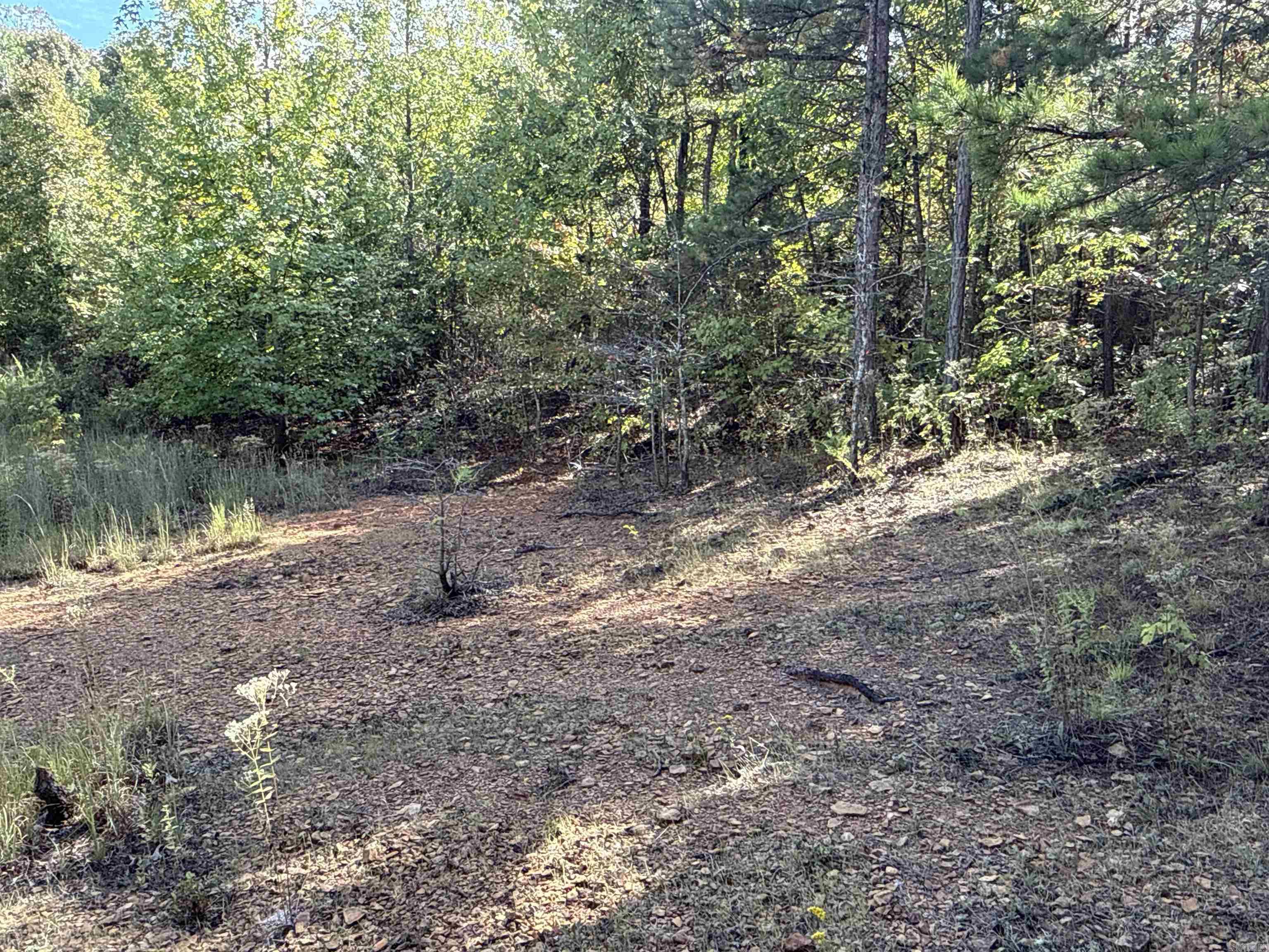 159 Deer Run  Leslie, AR