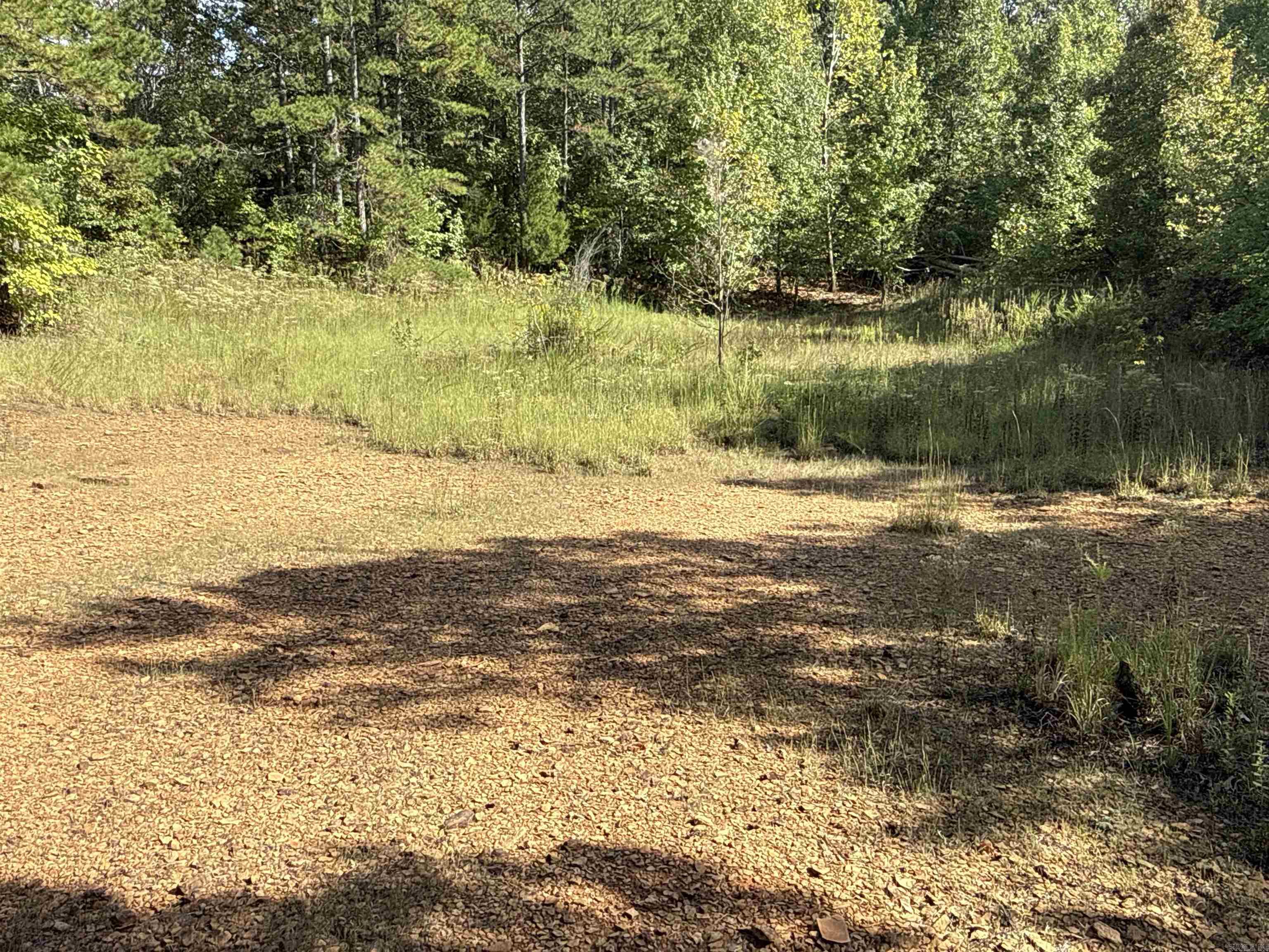 159 Deer Run  Leslie, AR