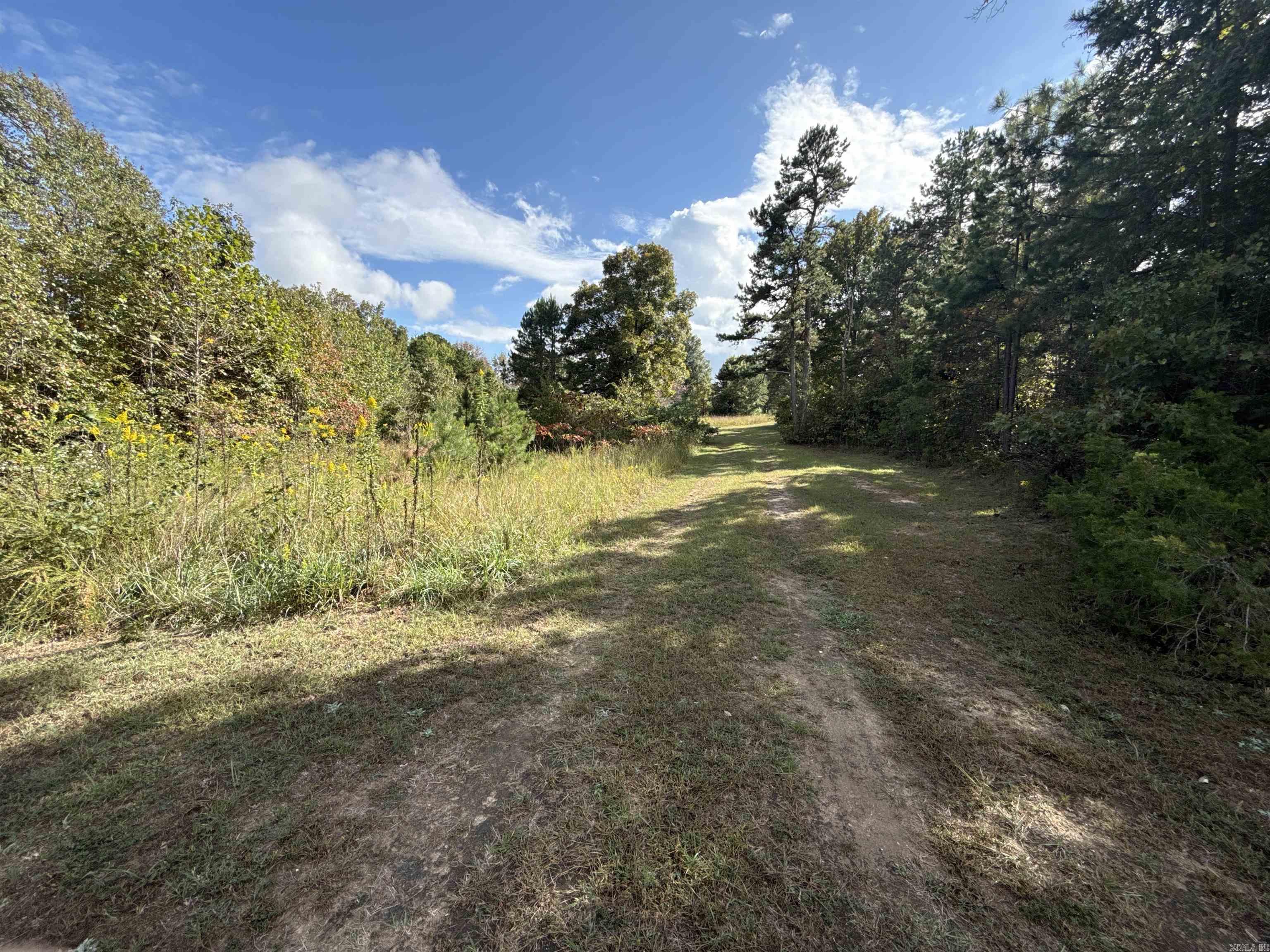 159 Deer Run  Leslie, AR
