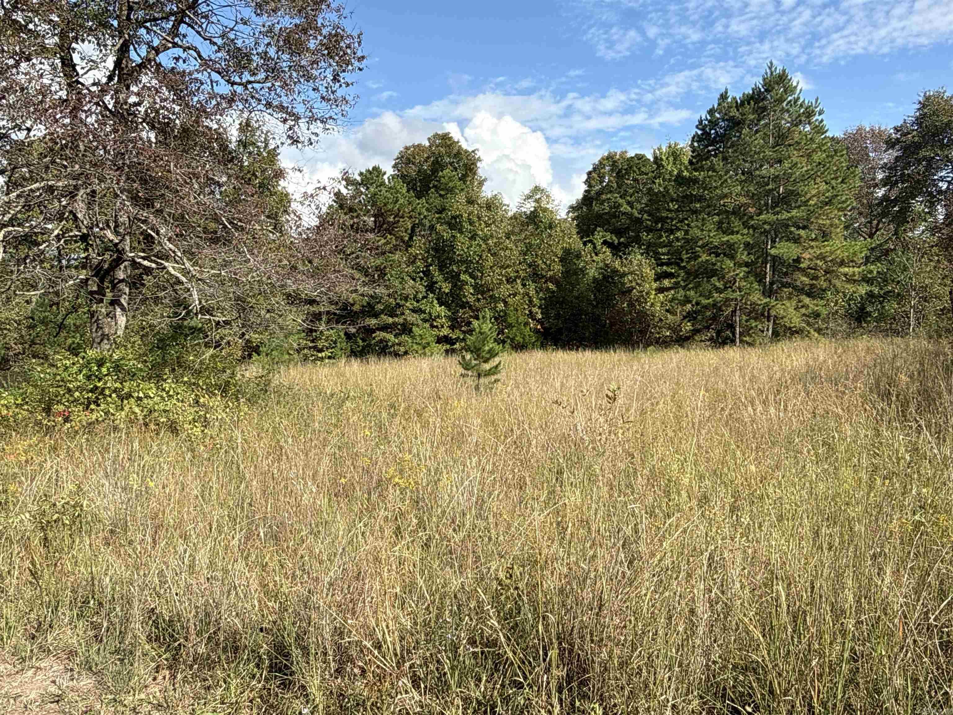 159 Deer Run  Leslie, AR