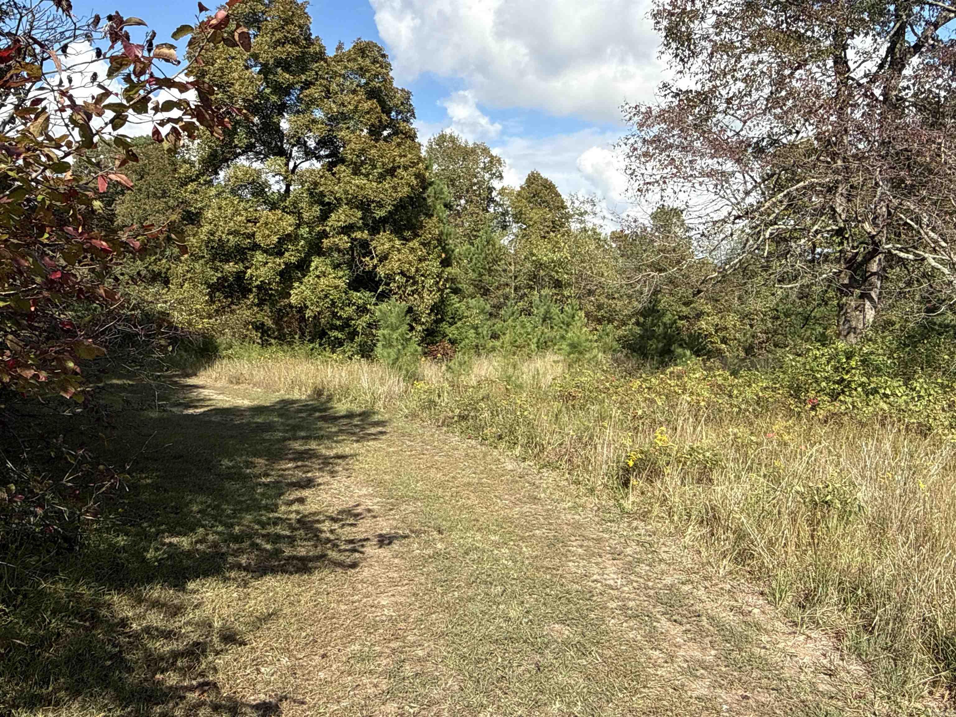 159 Deer Run  Leslie, AR