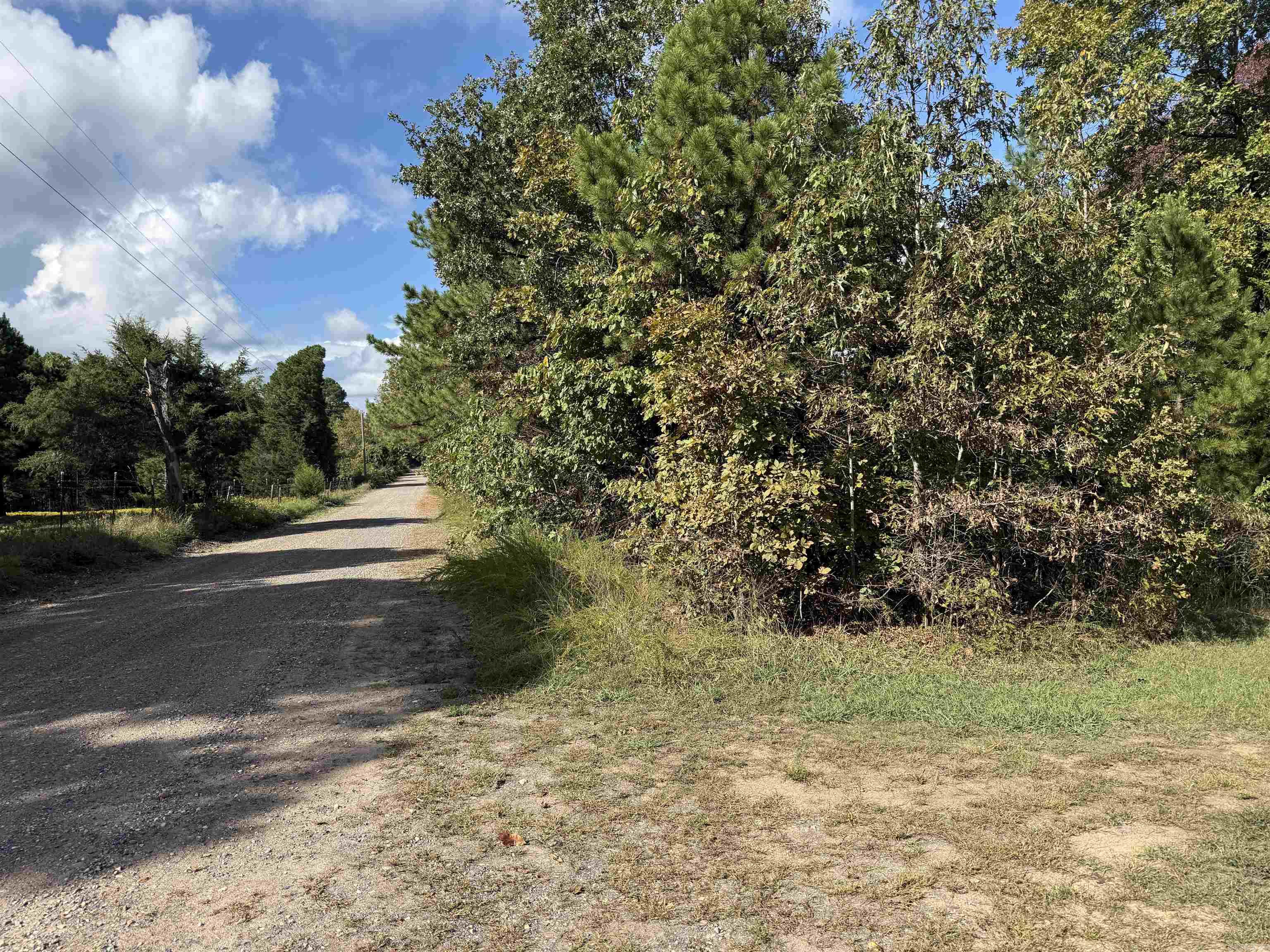 159 Deer Run  Leslie, AR