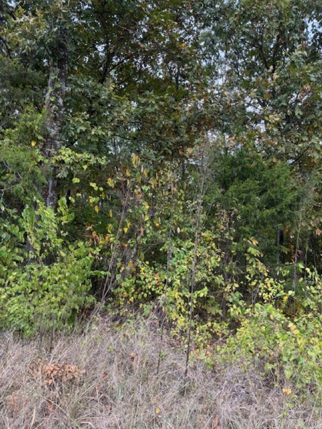 000 Hwy 16 Pangburn Road Heber Springs, AR