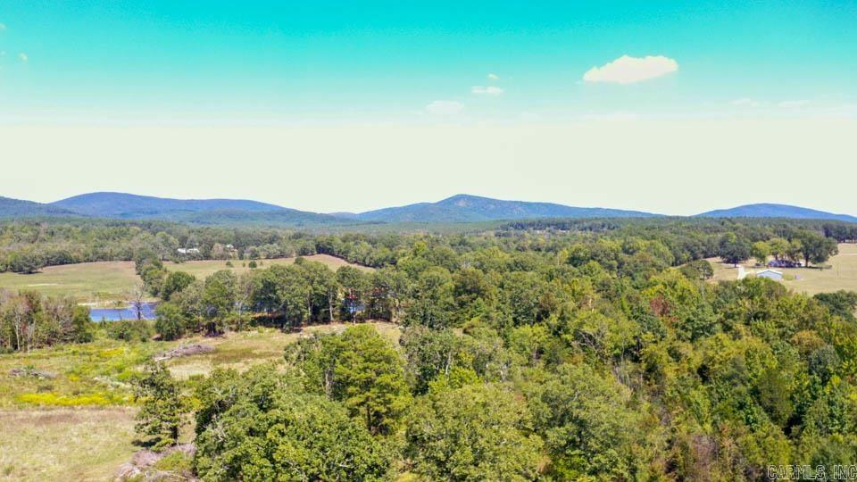 684 Old Waters  Oden, AR